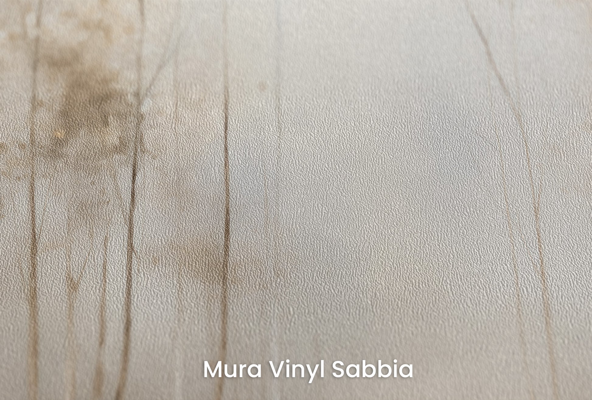 Zbliżenie na artystyczną fototapetę o nazwie GOLDEN MIST AT DAWN MURAL na podłożu Mura Vinyl Sabbia struktura grubego ziarna piasku.