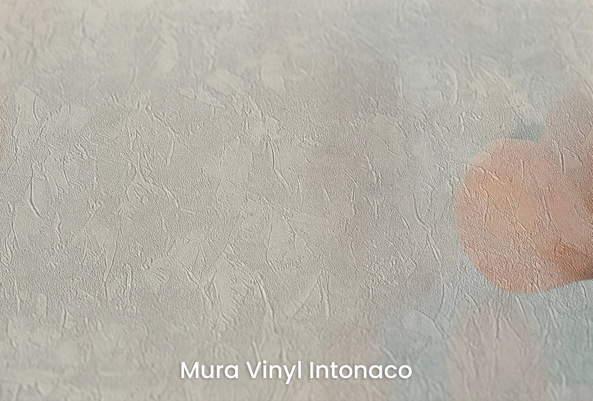 Zbliżenie na artystyczną fototapetę o nazwie Abstract Blossom Art na podłożu Mura Vinyl Intonaco - struktura tartego tynku.