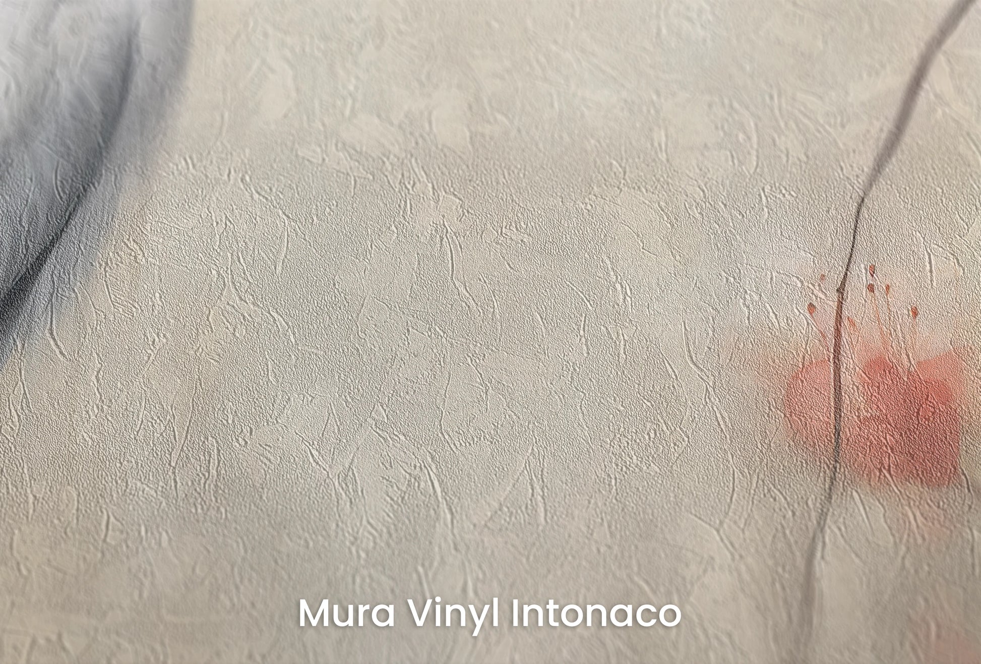 Zbliżenie na artystyczną fototapetę o nazwie Noble Crane na podłożu Mura Vinyl Intonaco - struktura tartego tynku.