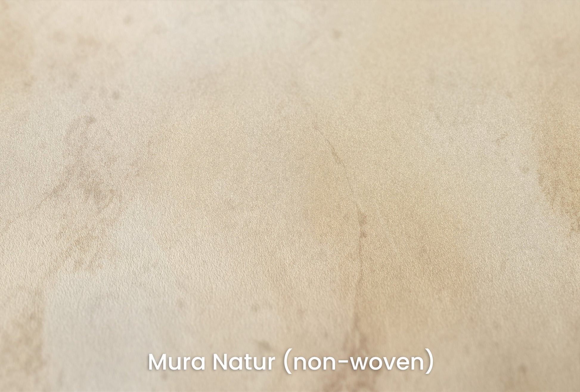 Zbliżenie na artystyczną fototapetę o nazwie ANTIQUE IVORY VEIL na podłożu Mura Natur (non-woven) - naturalne i ekologiczne podłoże.