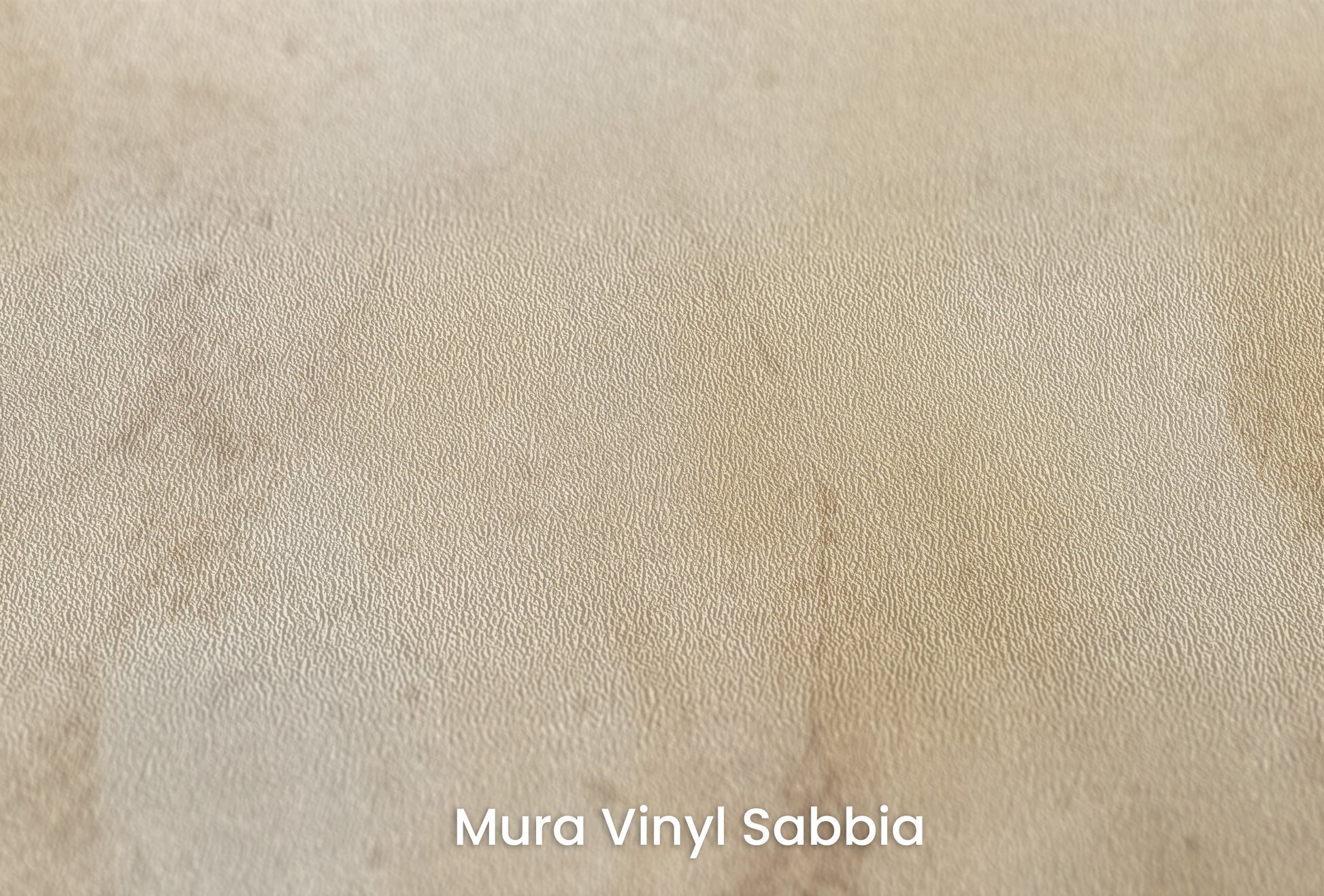 Zbliżenie na artystyczną fototapetę o nazwie ANTIQUE IVORY VEIL na podłożu Mura Vinyl Sabbia struktura grubego ziarna piasku.