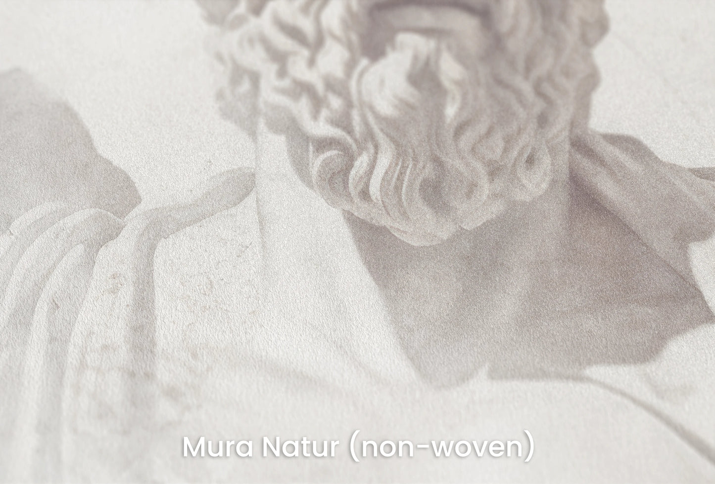 Zbliżenie na artystyczną fototapetę o nazwie Stoic Wisdom Revisited na podłożu Mura Natur (non-woven) - naturalne i ekologiczne podłoże.