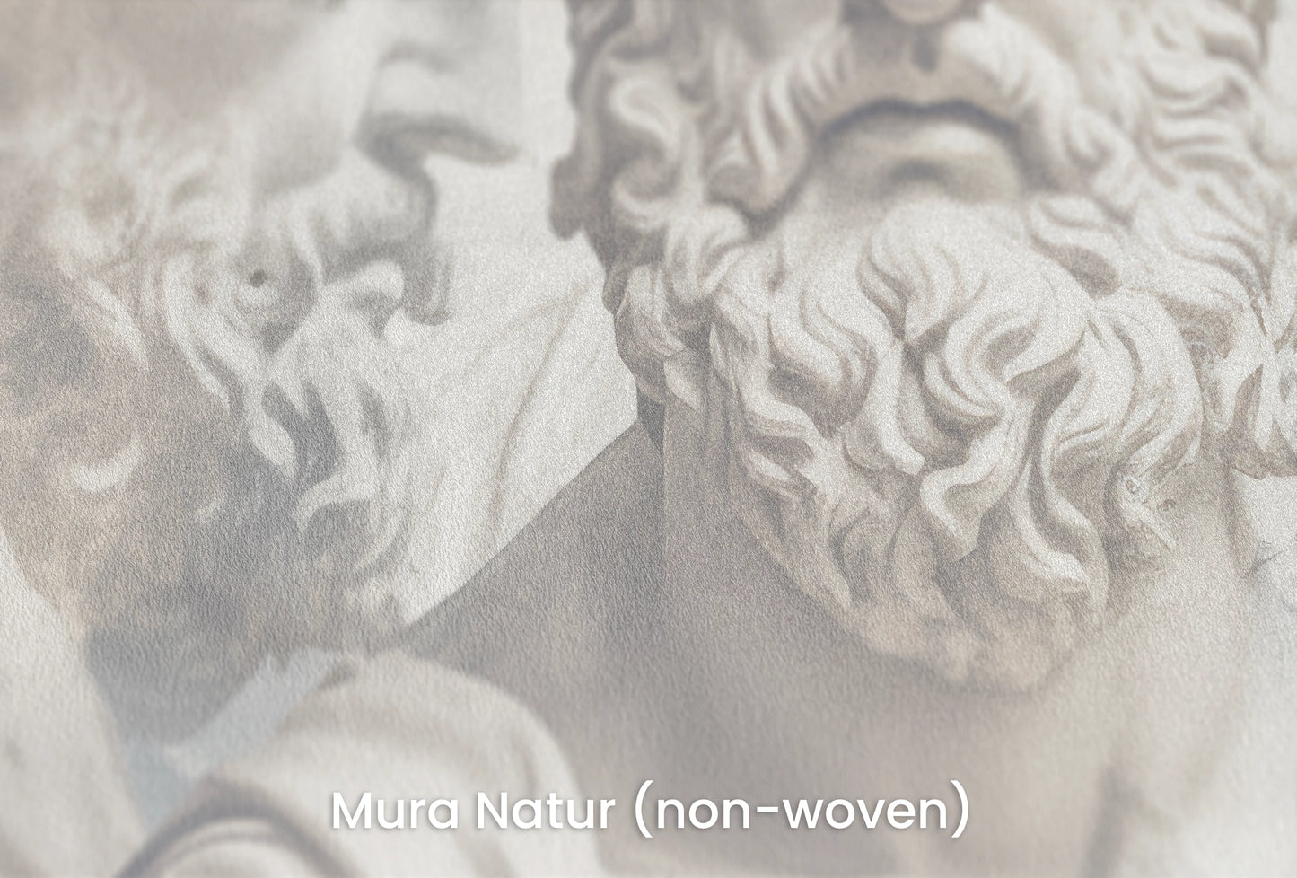 Zbliżenie na artystyczną fototapetę o nazwie Philosopher's Profile na podłożu Mura Natur (non-woven) - naturalne i ekologiczne podłoże.