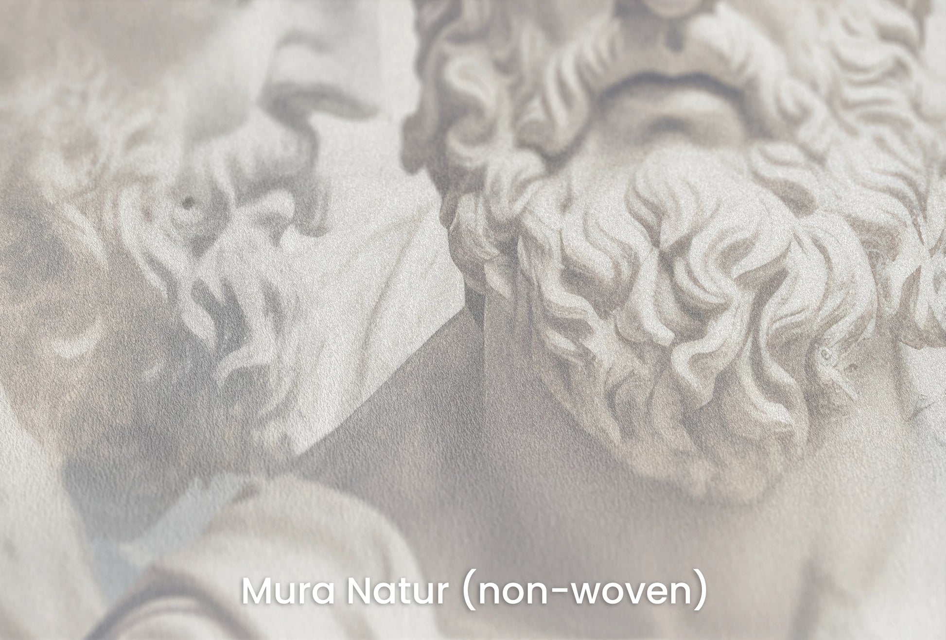 Zbliżenie na artystyczną fototapetę o nazwie Philosopher's Profile na podłożu Mura Natur (non-woven) - naturalne i ekologiczne podłoże.