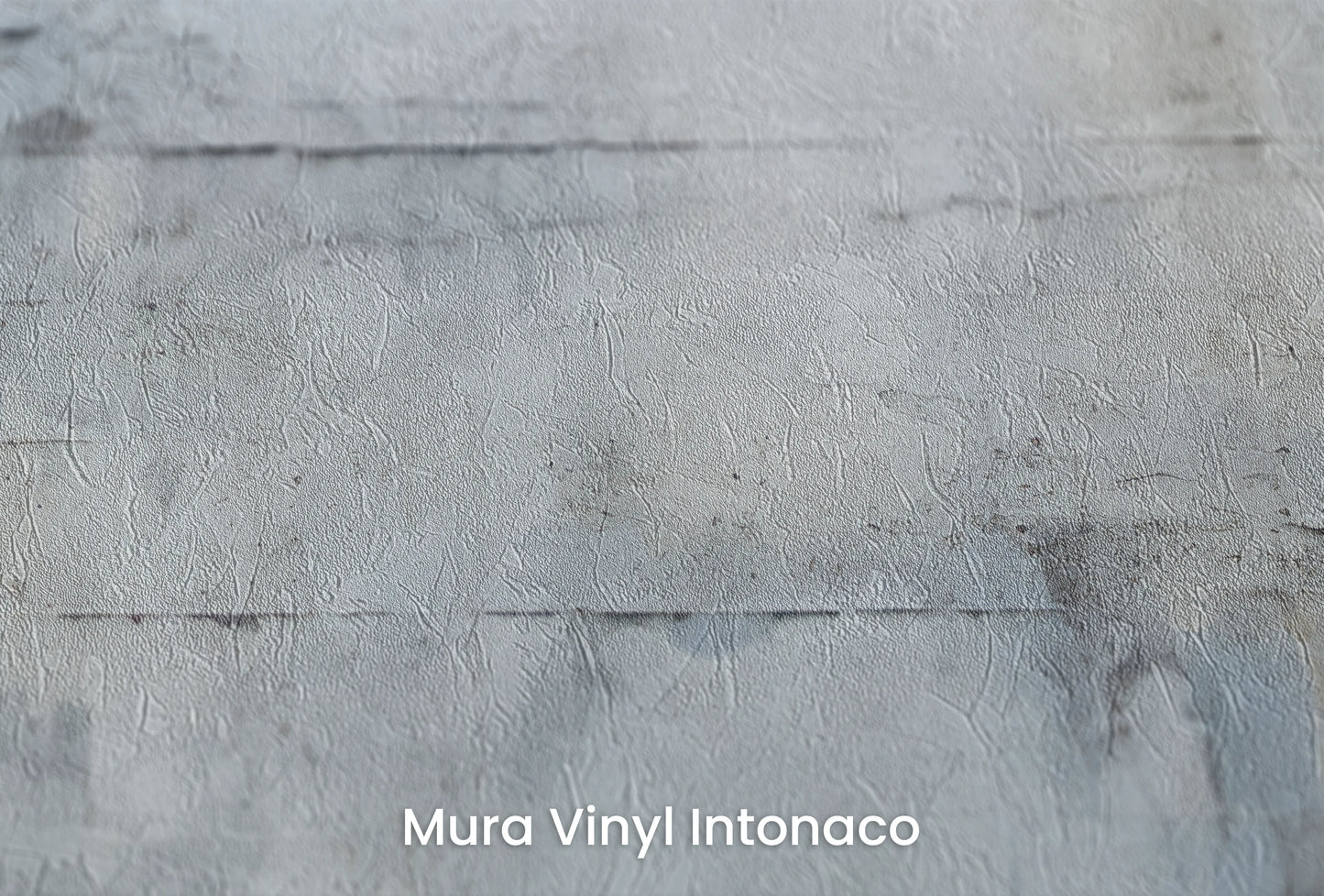Zbliżenie na artystyczną fototapetę o nazwie Whispering Frost na podłożu Mura Vinyl Intonaco - struktura tartego tynku.