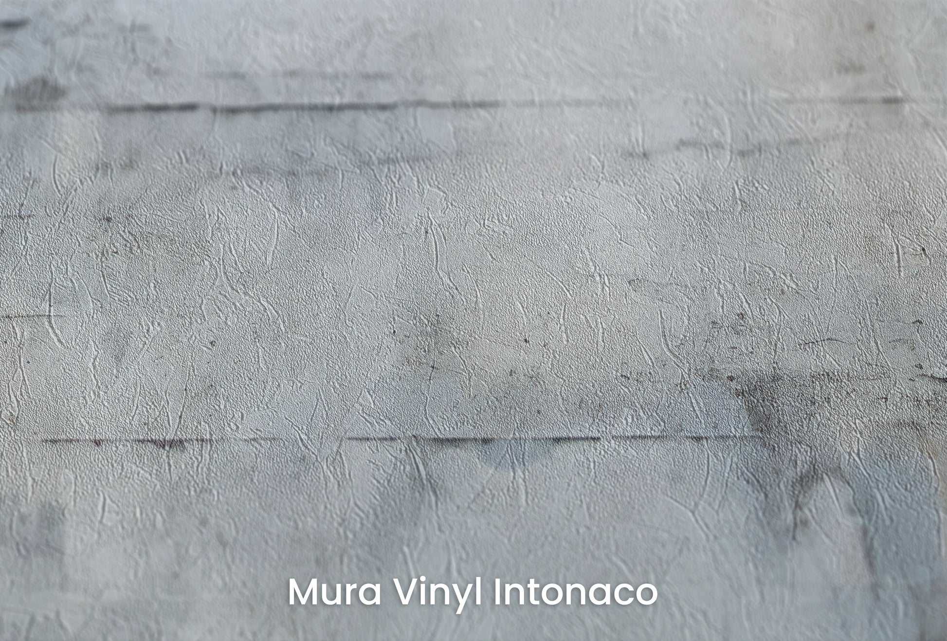 Zbliżenie na artystyczną fototapetę o nazwie Whispering Frost na podłożu Mura Vinyl Intonaco - struktura tartego tynku.