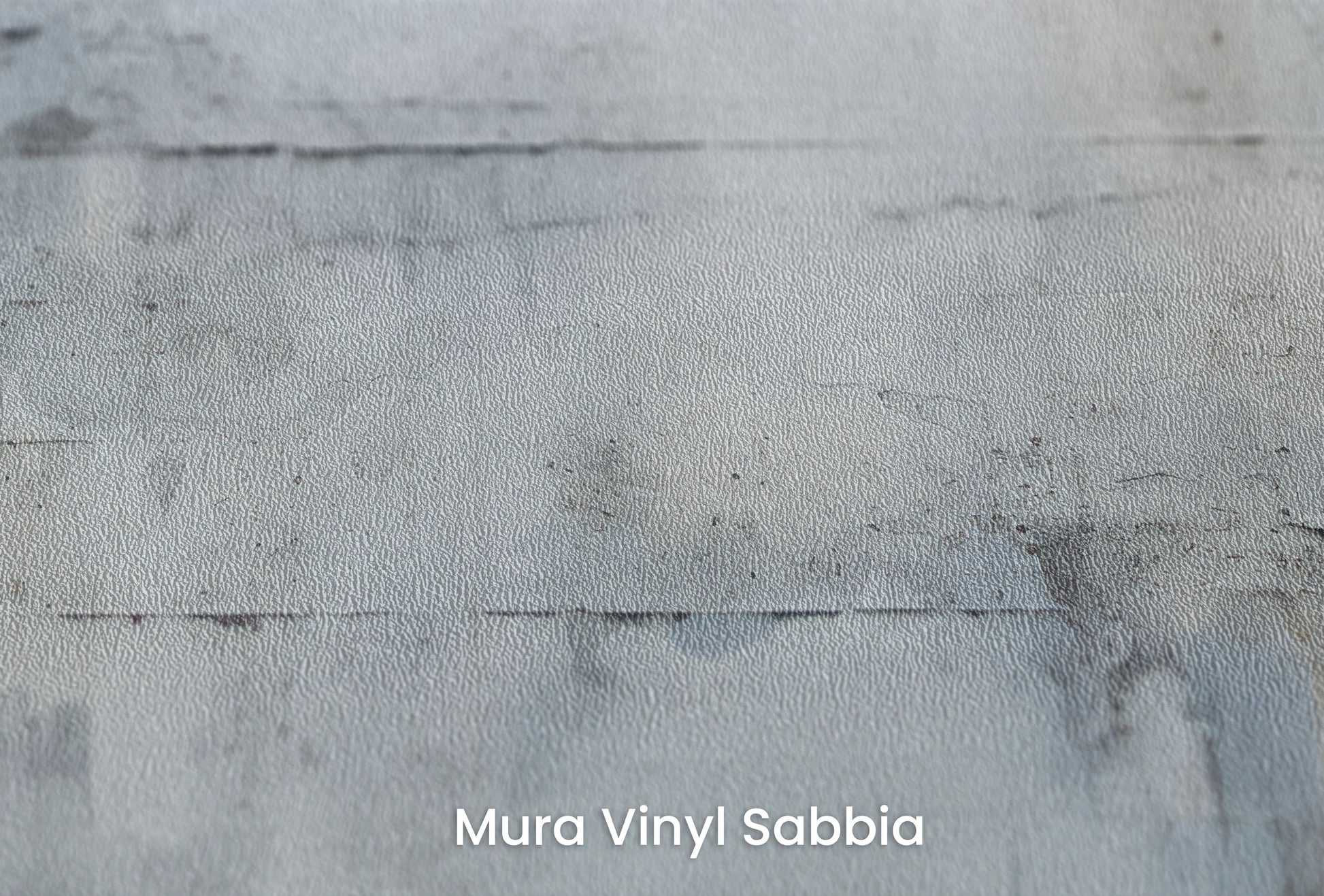 Zbliżenie na artystyczną fototapetę o nazwie Whispering Frost na podłożu Mura Vinyl Sabbia struktura grubego ziarna piasku.