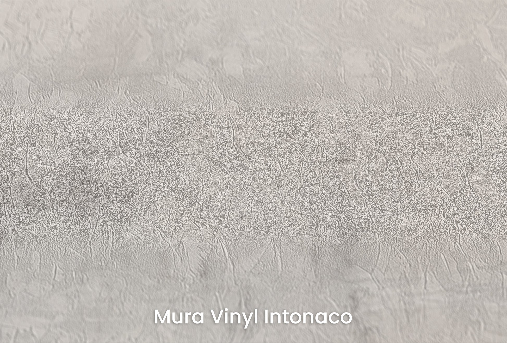 Zbliżenie na artystyczną fototapetę o nazwie MONOCHROME MIST na podłożu Mura Vinyl Intonaco - struktura tartego tynku.