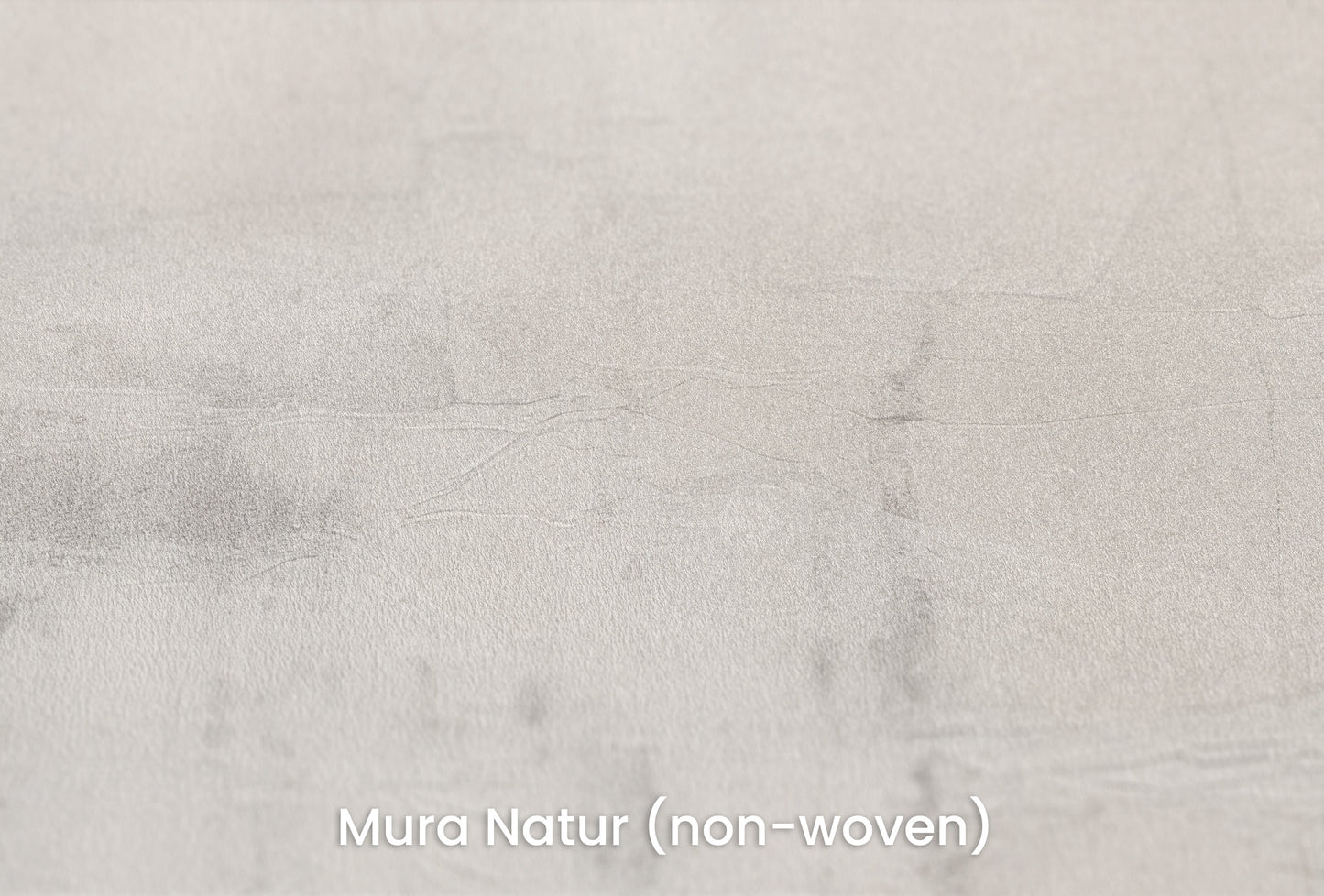 Zbliżenie na artystyczną fototapetę o nazwie MONOCHROME MIST na podłożu Mura Natur (non-woven) - naturalne i ekologiczne podłoże.
