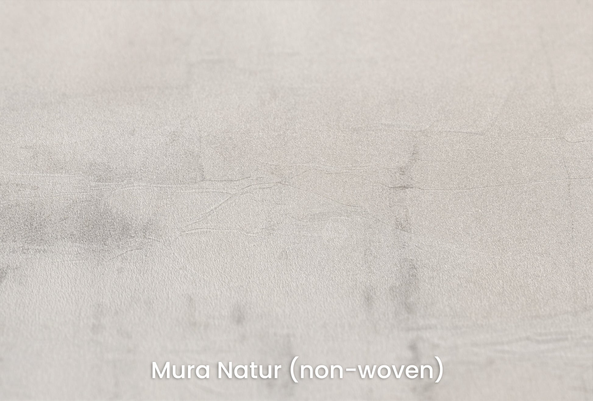 Zbliżenie na artystyczną fototapetę o nazwie MONOCHROME MIST na podłożu Mura Natur (non-woven) - naturalne i ekologiczne podłoże.