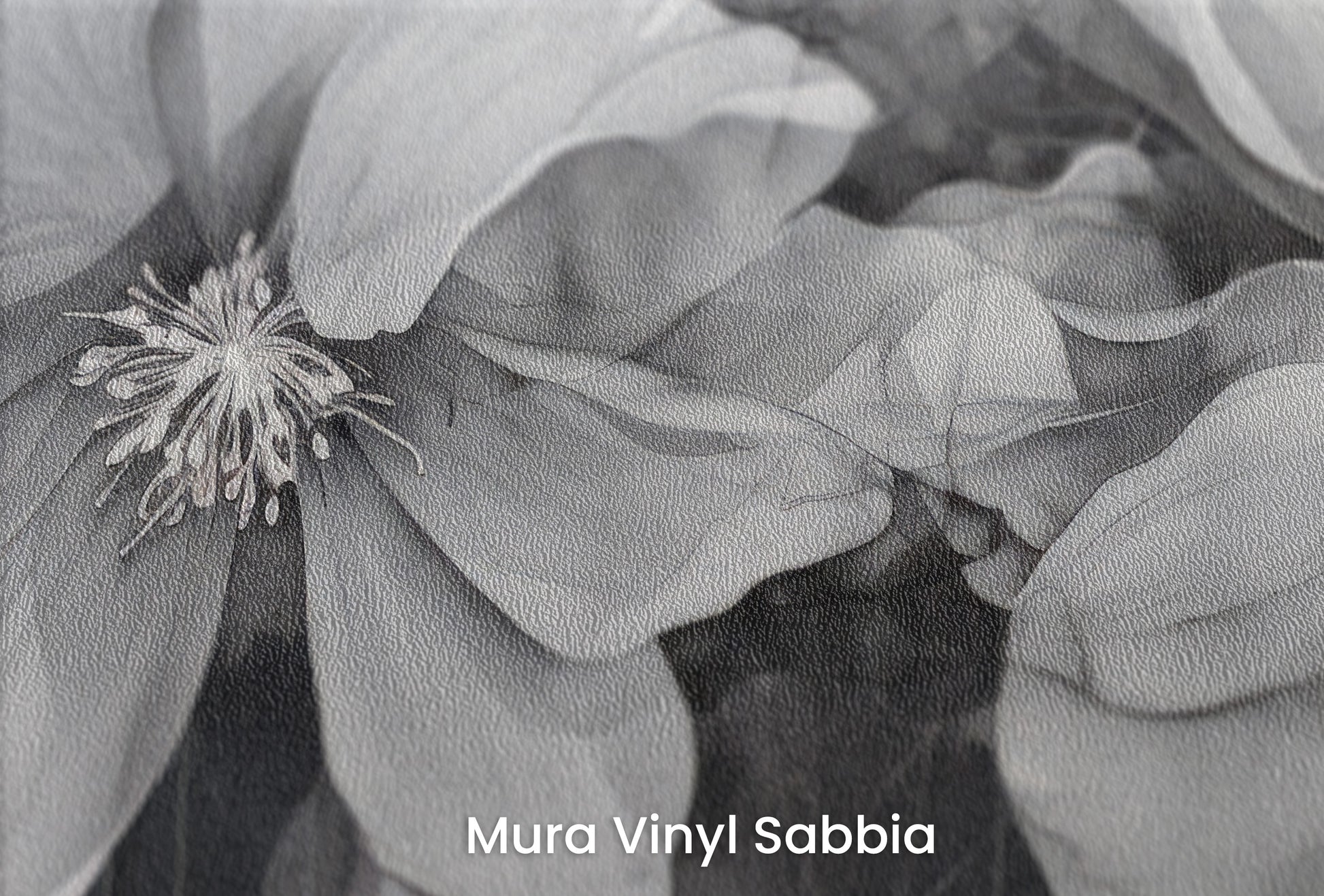 Zbliżenie na artystyczną fototapetę o nazwie CHARCOAL FLORAL CASCADE na podłożu Mura Vinyl Sabbia struktura grubego ziarna piasku.