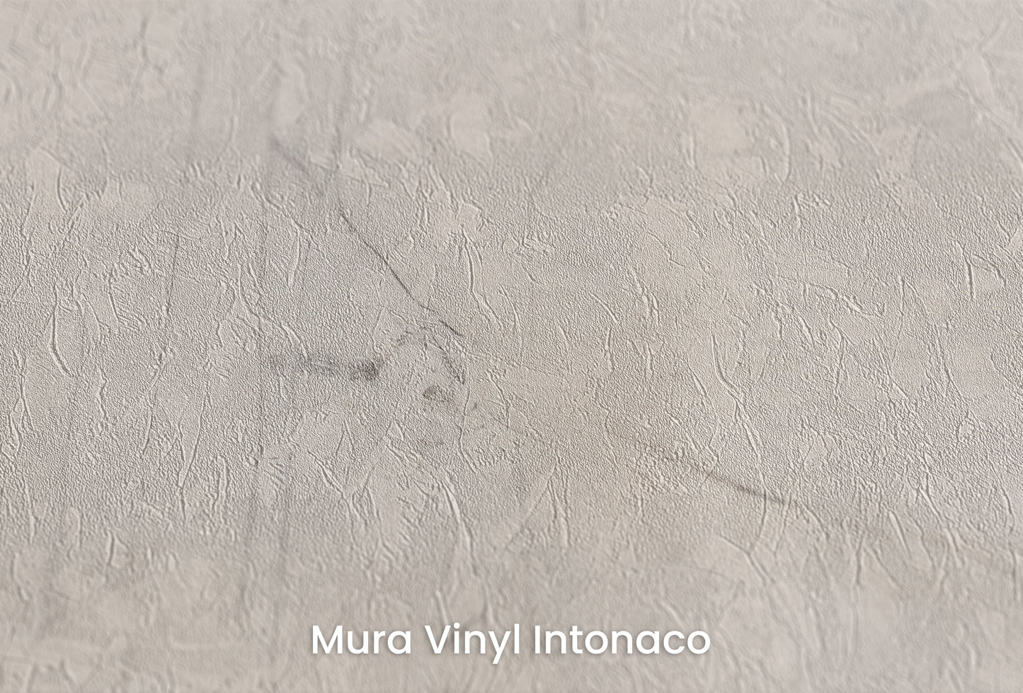 Zbliżenie na artystyczną fototapetę o nazwie WINTER'S WHISPER na podłożu Mura Vinyl Intonaco - struktura tartego tynku.