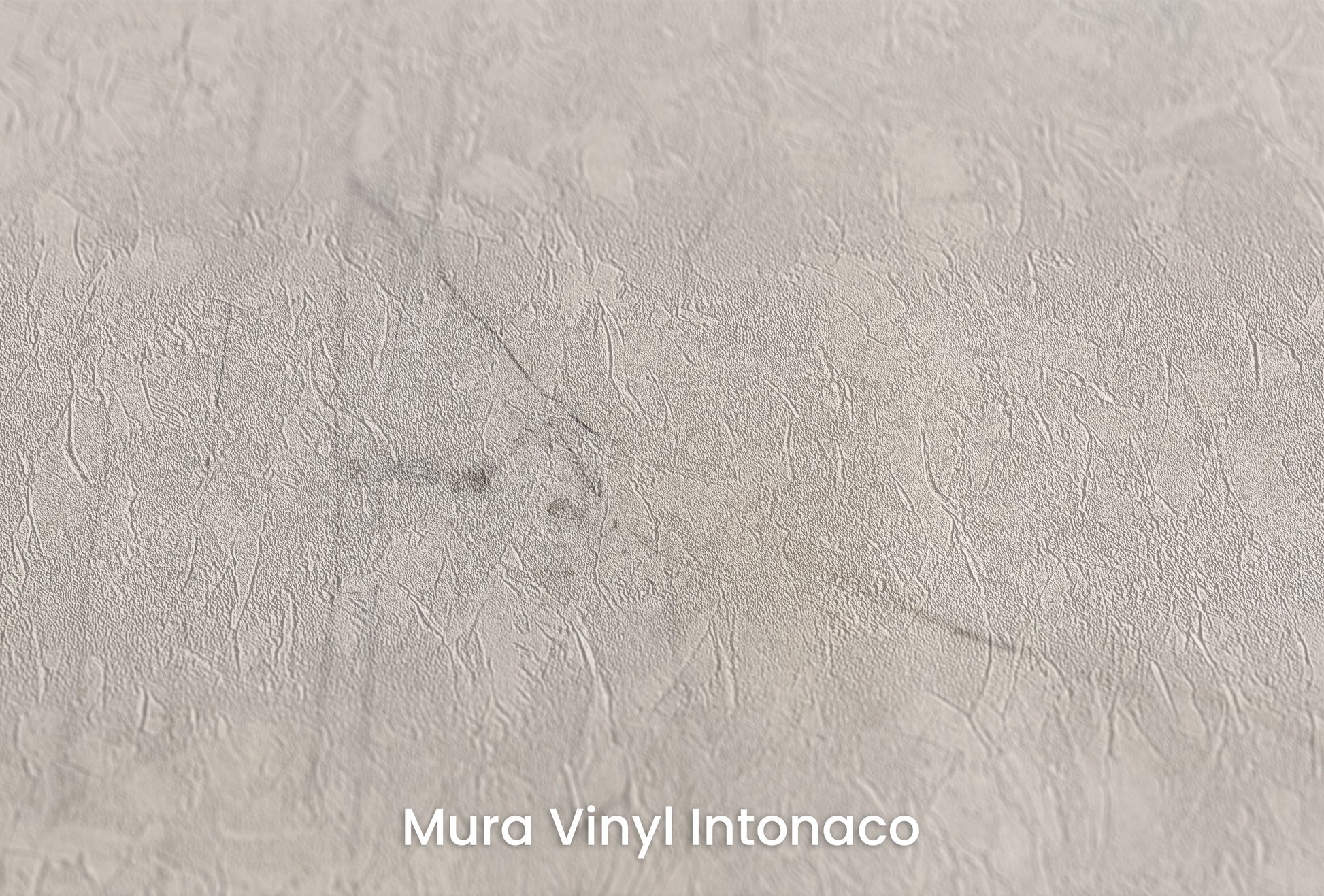 Zbliżenie na artystyczną fototapetę o nazwie WINTER'S WHISPER na podłożu Mura Vinyl Intonaco - struktura tartego tynku.