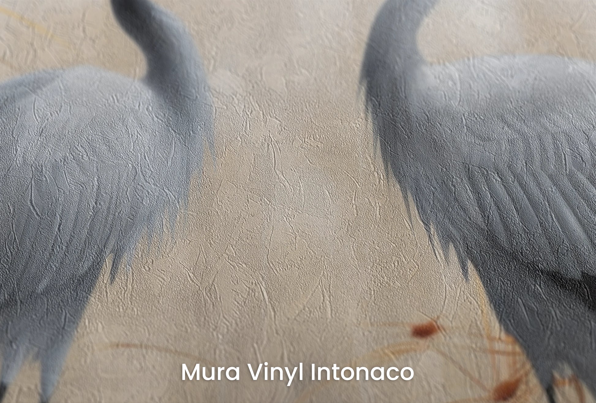 Zbliżenie na artystyczną fototapetę o nazwie Eternal Grace na podłożu Mura Vinyl Intonaco - struktura tartego tynku.