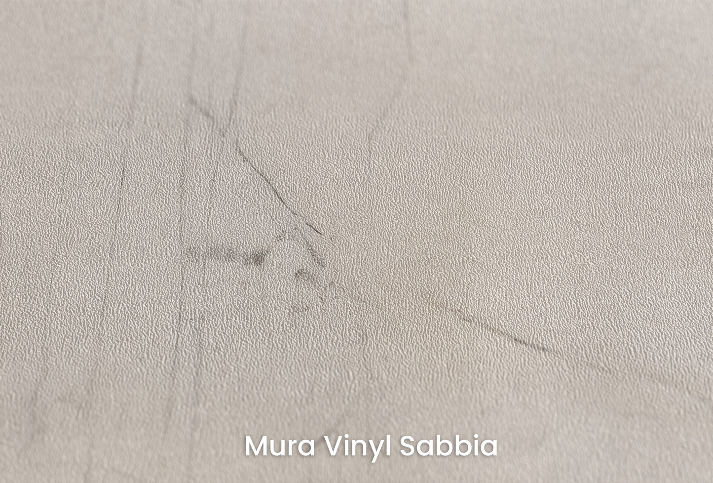 Zbliżenie na artystyczną fototapetę o nazwie WINTER'S WHISPER na podłożu Mura Vinyl Sabbia struktura grubego ziarna piasku.