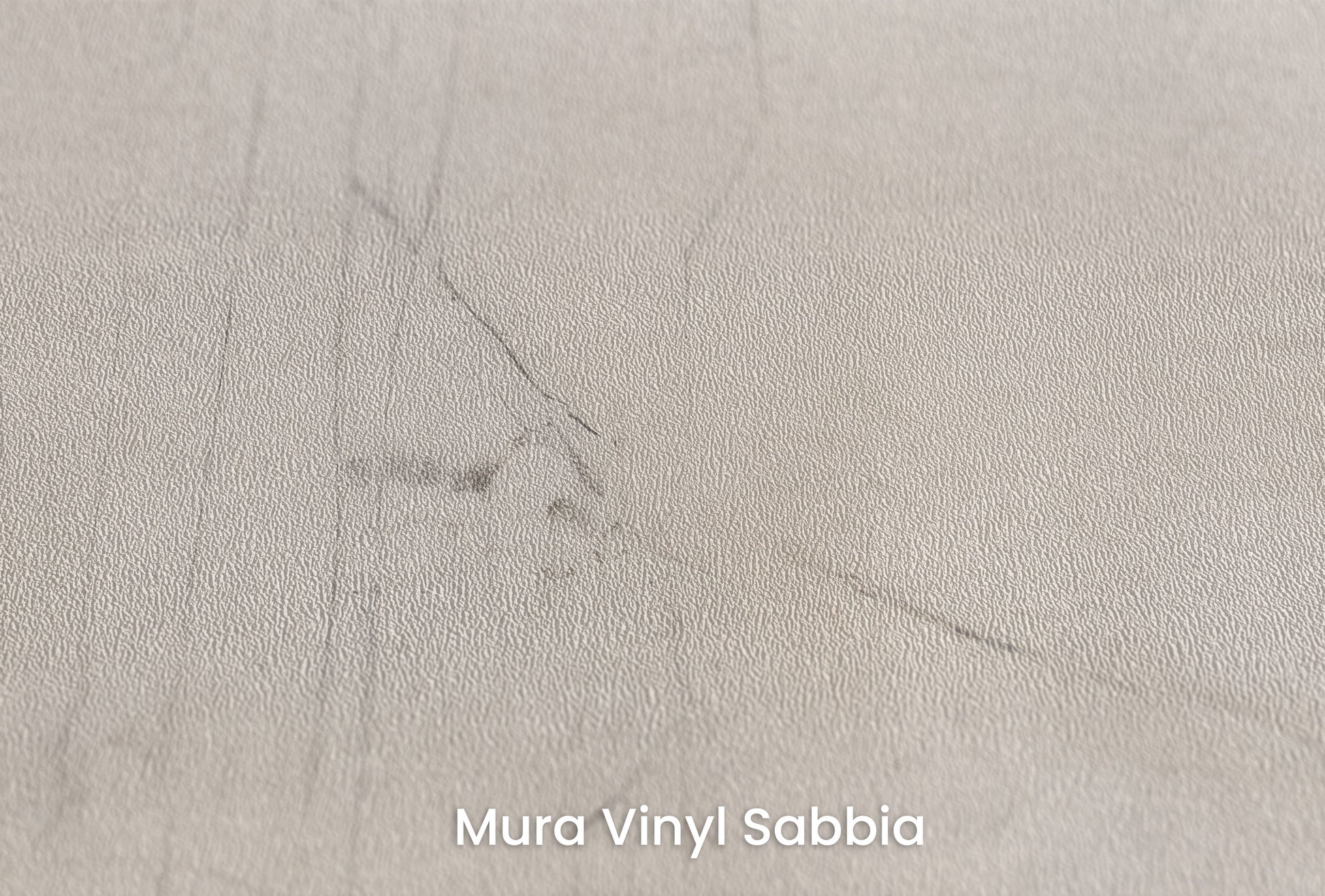Zbliżenie na artystyczną fototapetę o nazwie WINTER'S WHISPER na podłożu Mura Vinyl Sabbia struktura grubego ziarna piasku.