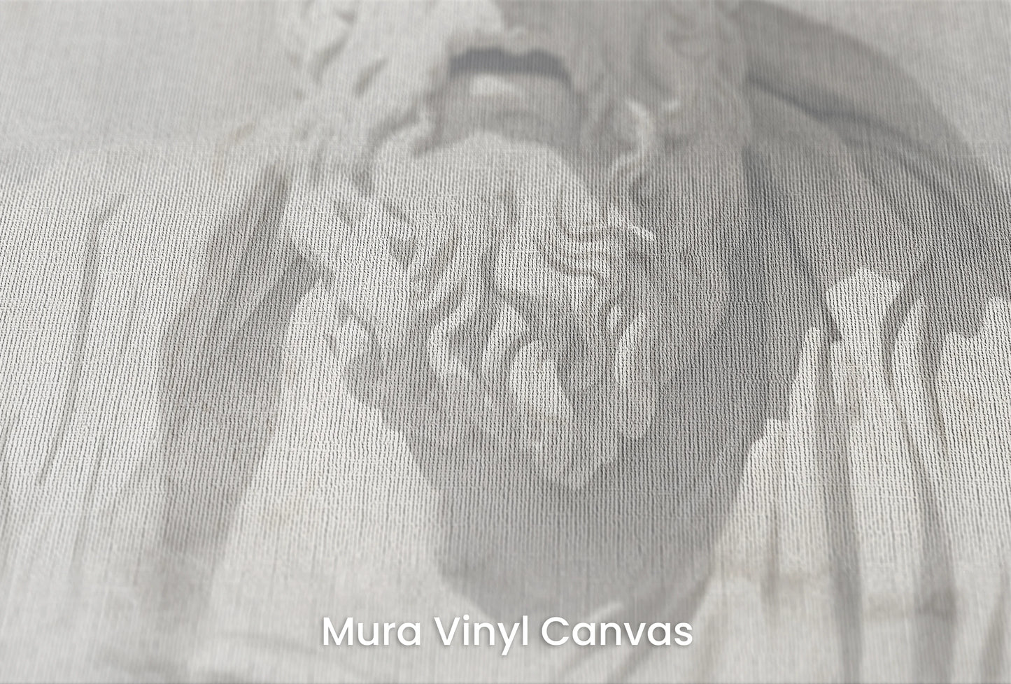 Zbliżenie na artystyczną fototapetę o nazwie Grecian Introspection na podłożu Mura Vinyl Canvas - faktura naturalnego płótna.