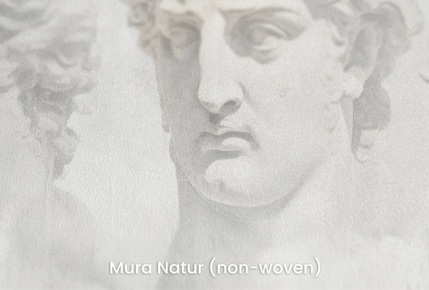 Zbliżenie na artystyczną fototapetę o nazwie Sorrow of Niobe na podłożu Mura Natur (non-woven) - naturalne i ekologiczne podłoże.