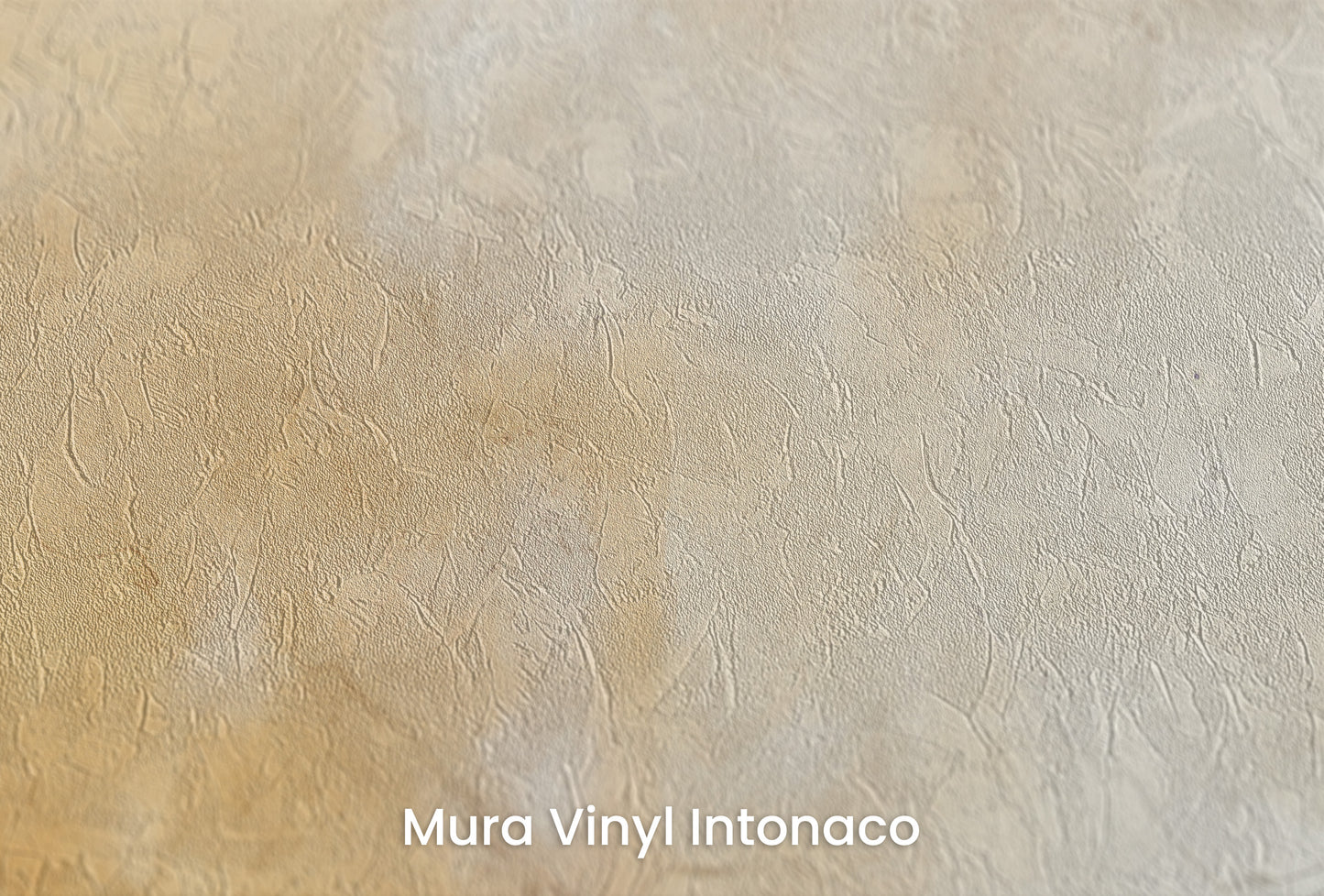 Zbliżenie na artystyczną fototapetę o nazwie VINTAGE PARCHMENT na podłożu Mura Vinyl Intonaco - struktura tartego tynku.