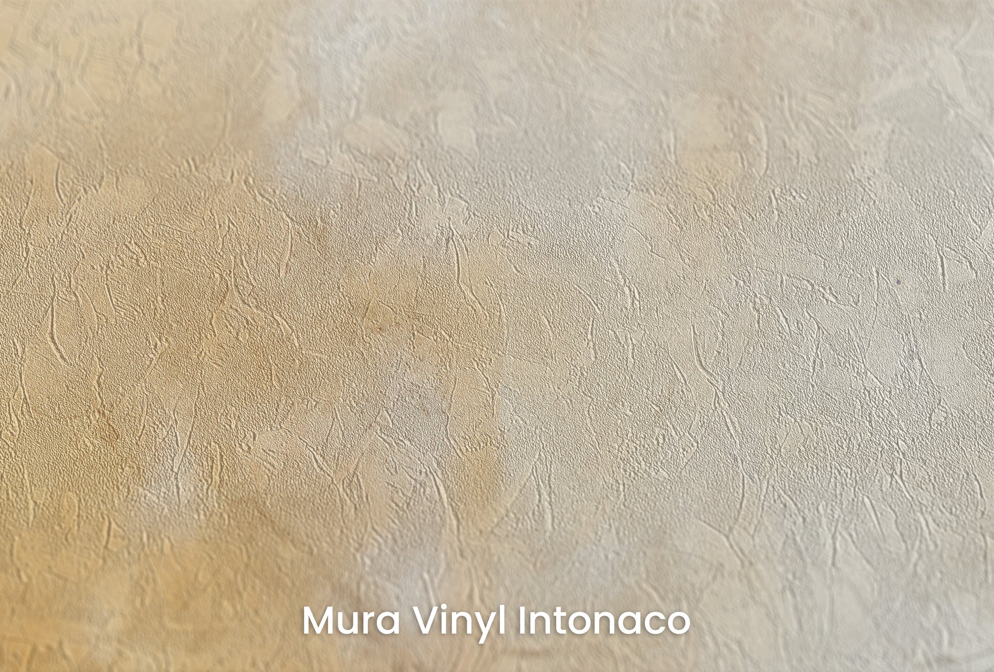 Zbliżenie na artystyczną fototapetę o nazwie VINTAGE PARCHMENT na podłożu Mura Vinyl Intonaco - struktura tartego tynku.
