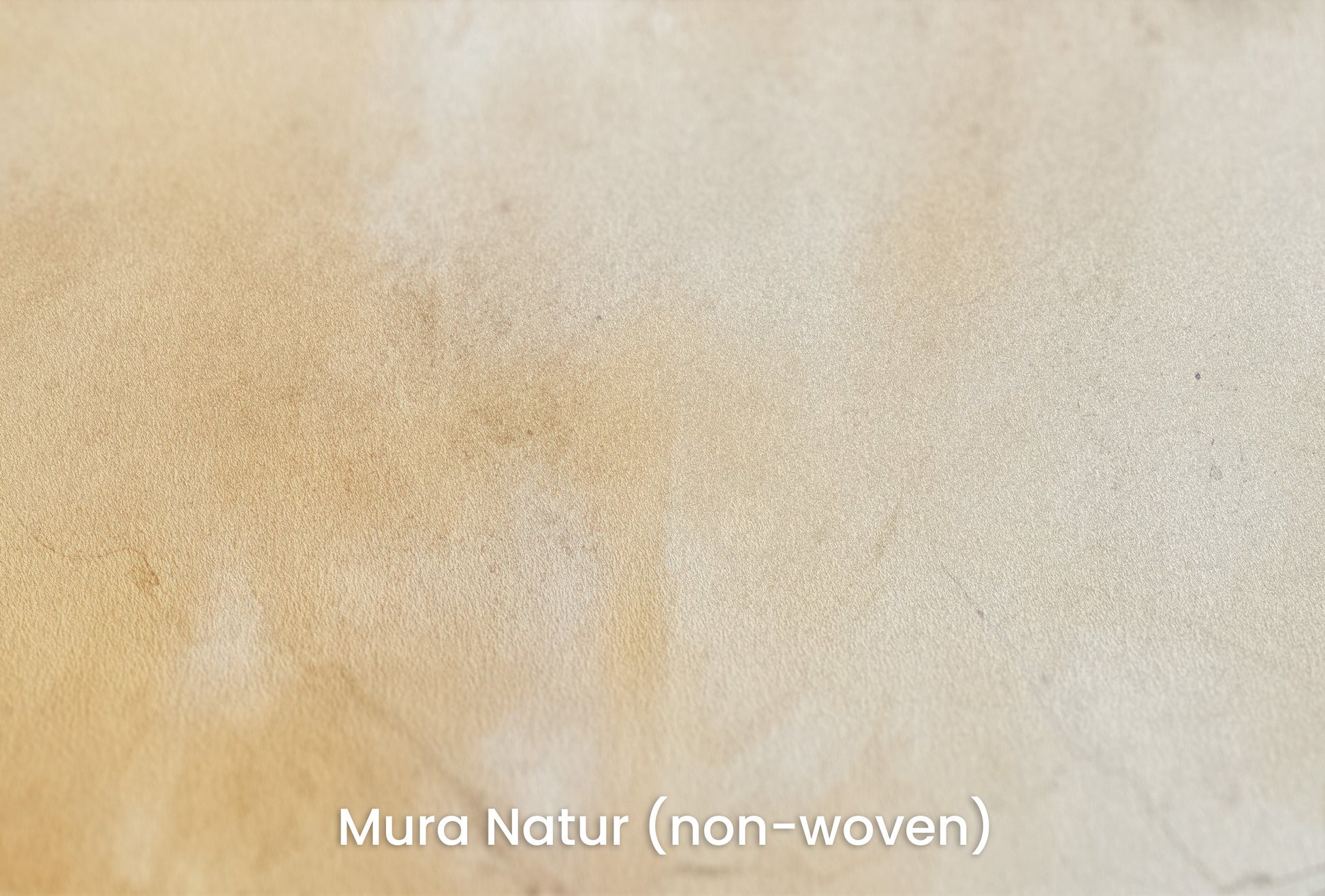 Zbliżenie na artystyczną fototapetę o nazwie VINTAGE PARCHMENT na podłożu Mura Natur (non-woven) - naturalne i ekologiczne podłoże.