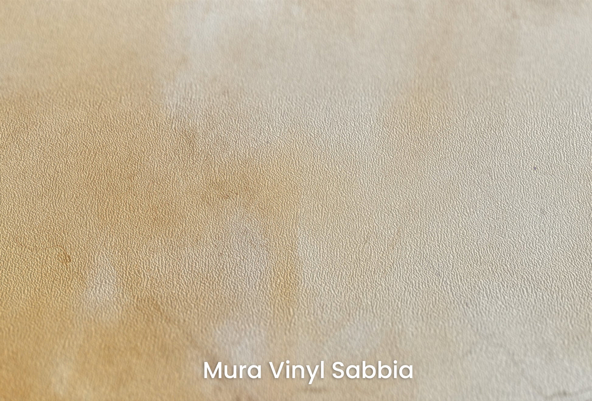 Zbliżenie na artystyczną fototapetę o nazwie VINTAGE PARCHMENT na podłożu Mura Vinyl Sabbia struktura grubego ziarna piasku.