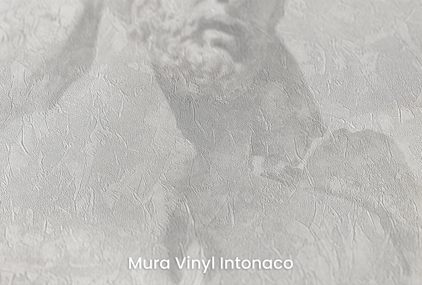 Zbliżenie na artystyczną fototapetę o nazwie Apollo's Gaze na podłożu Mura Vinyl Intonaco - struktura tartego tynku.