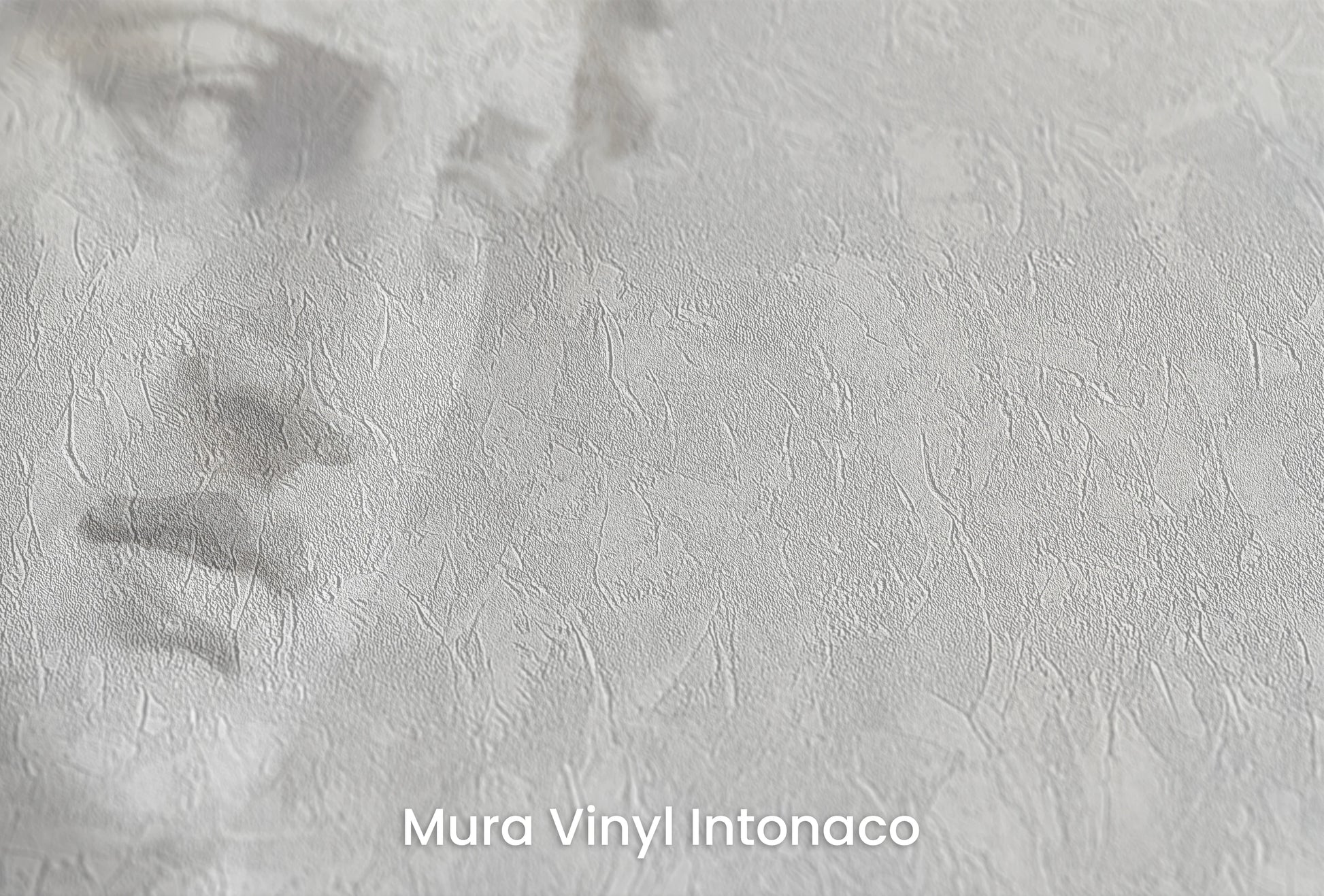 Zbliżenie na artystyczną fototapetę o nazwie Athena's Wisdom na podłożu Mura Vinyl Intonaco - struktura tartego tynku.