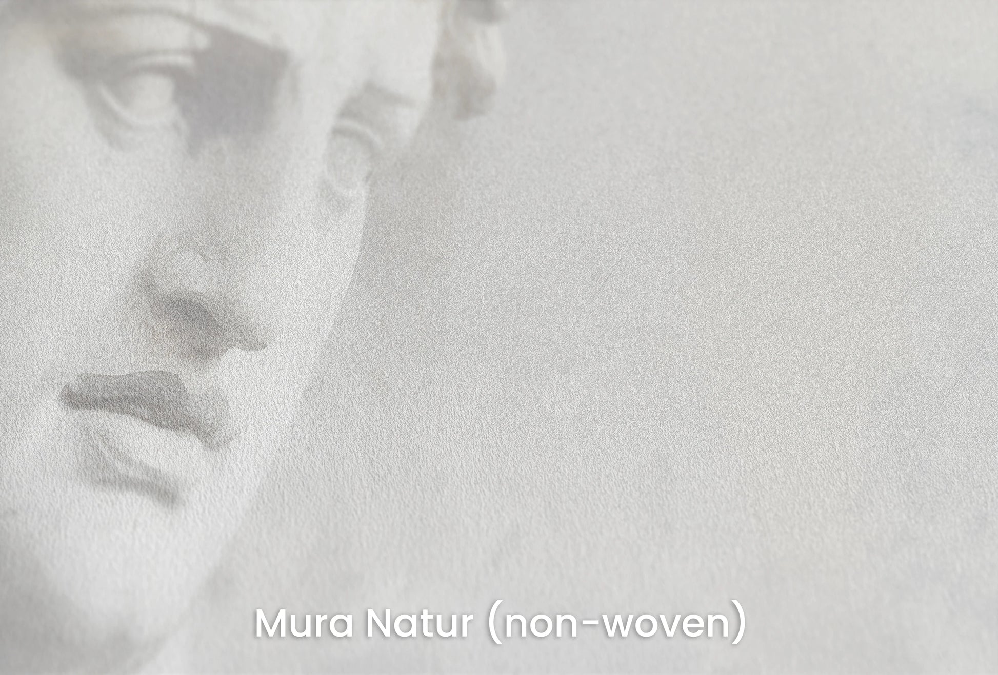 Zbliżenie na artystyczną fototapetę o nazwie Athena's Wisdom na podłożu Mura Natur (non-woven) - naturalne i ekologiczne podłoże.