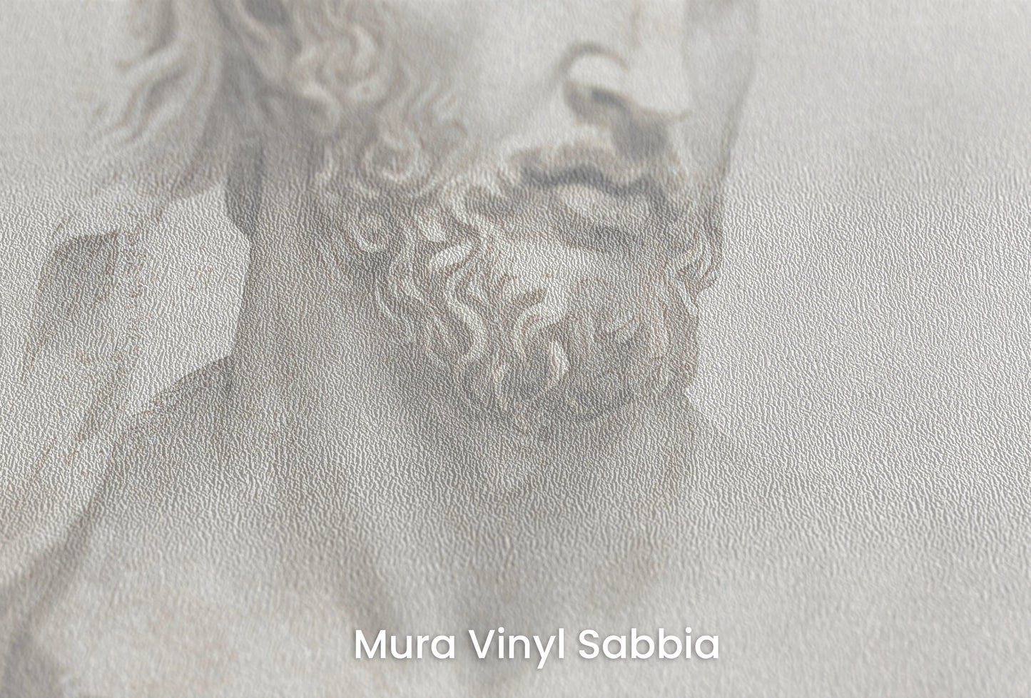 Zbliżenie na artystyczną fototapetę o nazwie Hera's Gaze na podłożu Mura Vinyl Sabbia struktura grubego ziarna piasku.