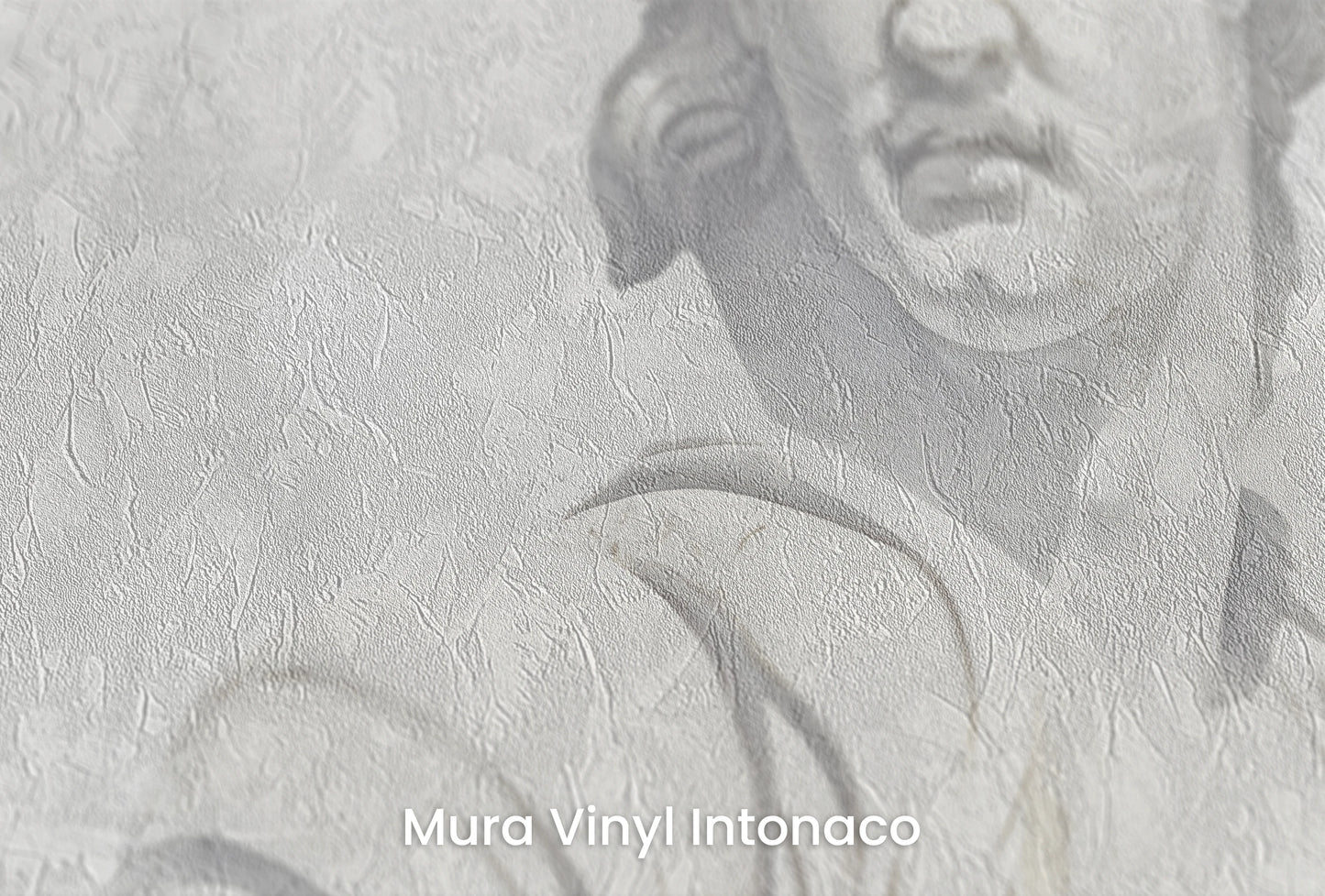 Zbliżenie na artystyczną fototapetę o nazwie Olympian Trio na podłożu Mura Vinyl Intonaco - struktura tartego tynku.