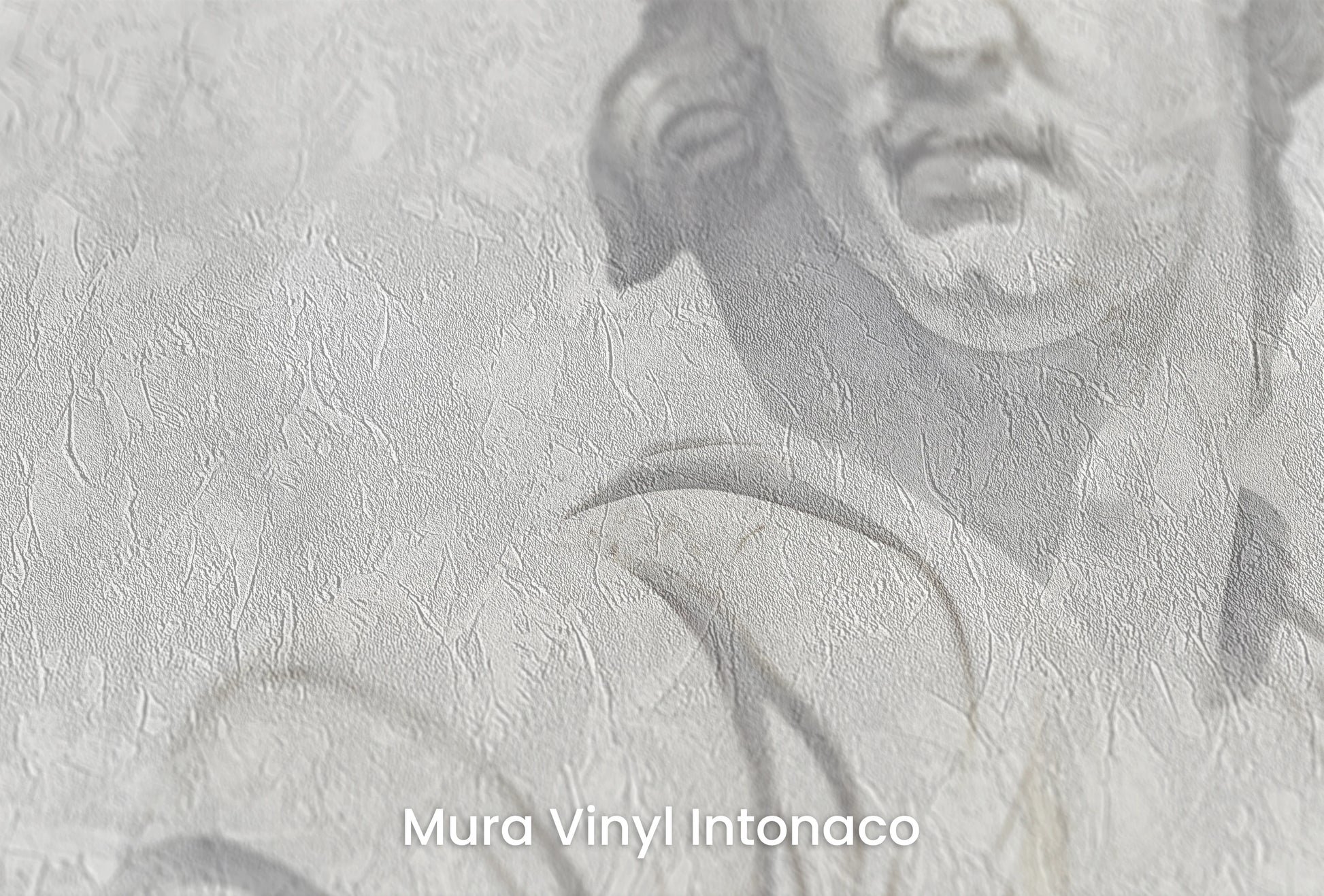 Zbliżenie na artystyczną fototapetę o nazwie Olympian Trio na podłożu Mura Vinyl Intonaco - struktura tartego tynku.