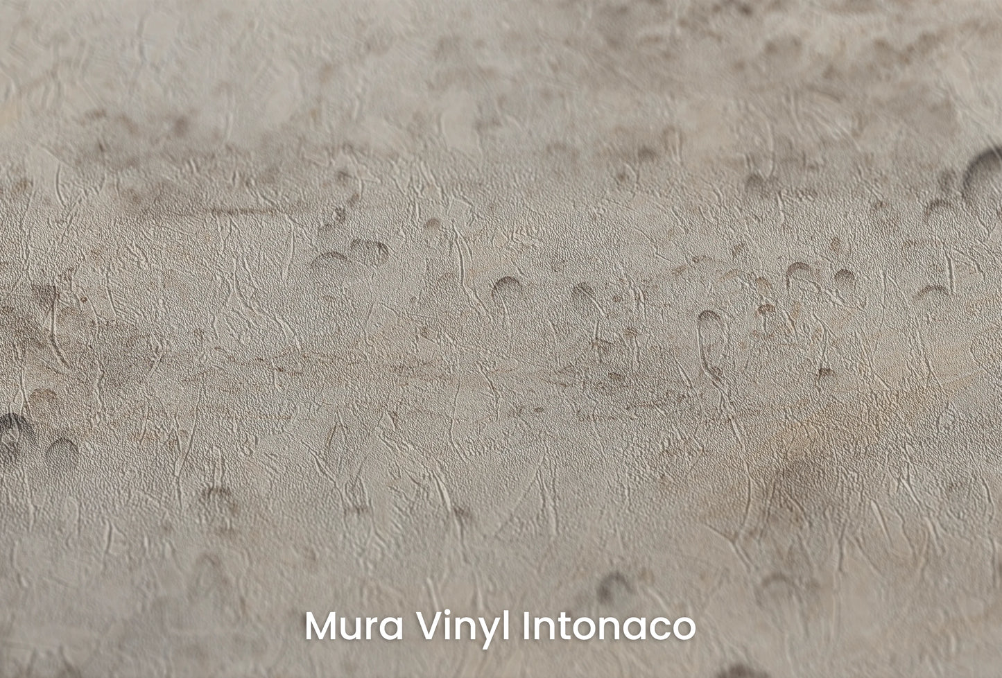 Zbliżenie na artystyczną fototapetę o nazwie Beige Moon na podłożu Mura Vinyl Intonaco - struktura tartego tynku.