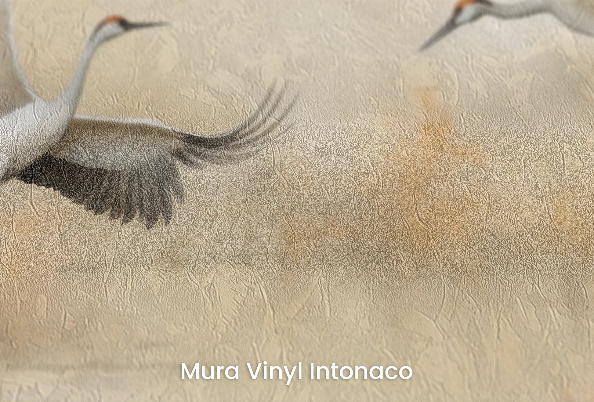 Zbliżenie na artystyczną fototapetę o nazwie Harmony in Motion na podłożu Mura Vinyl Intonaco - struktura tartego tynku.