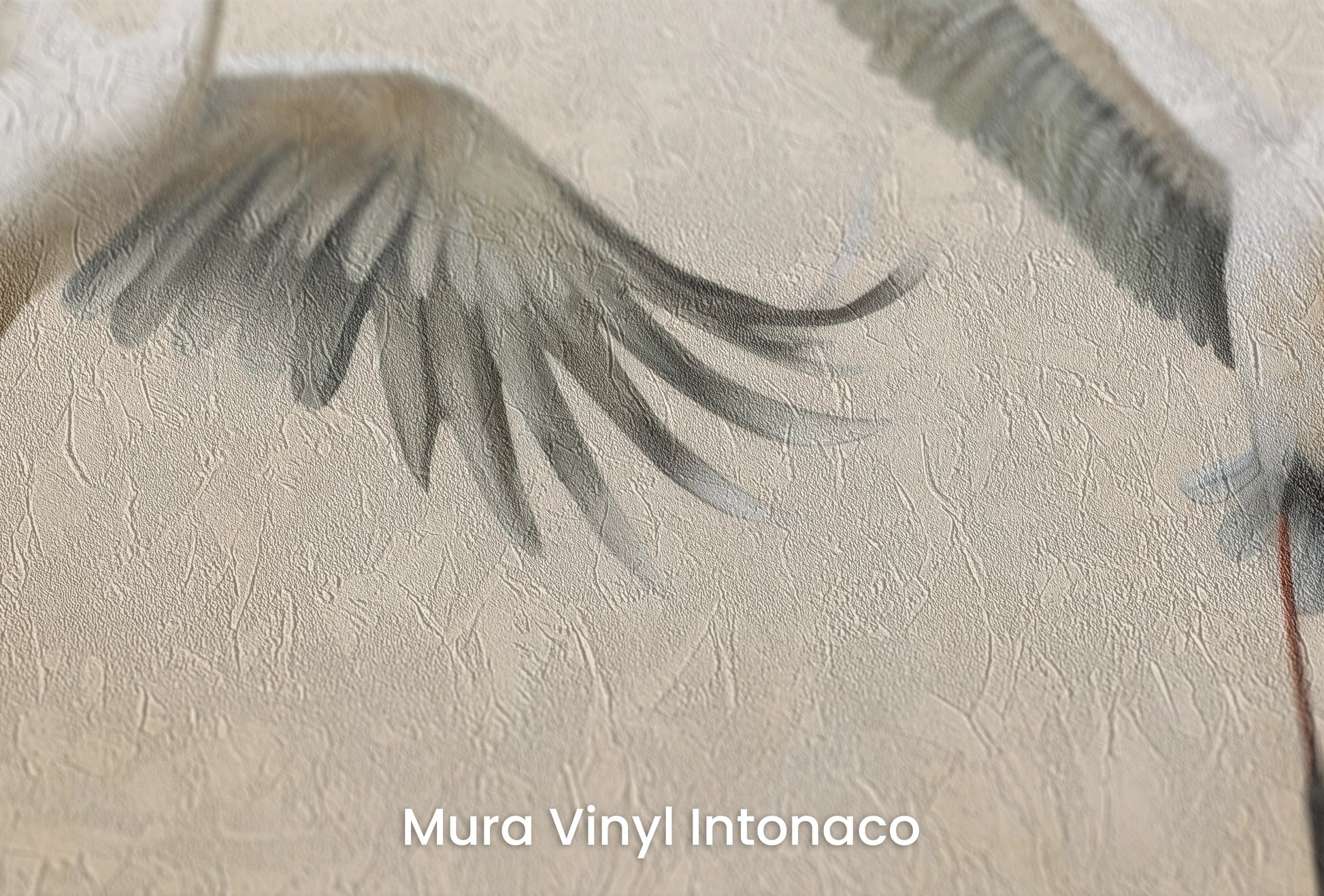 Zbliżenie na artystyczną fototapetę o nazwie Graceful Leap na podłożu Mura Vinyl Intonaco - struktura tartego tynku.