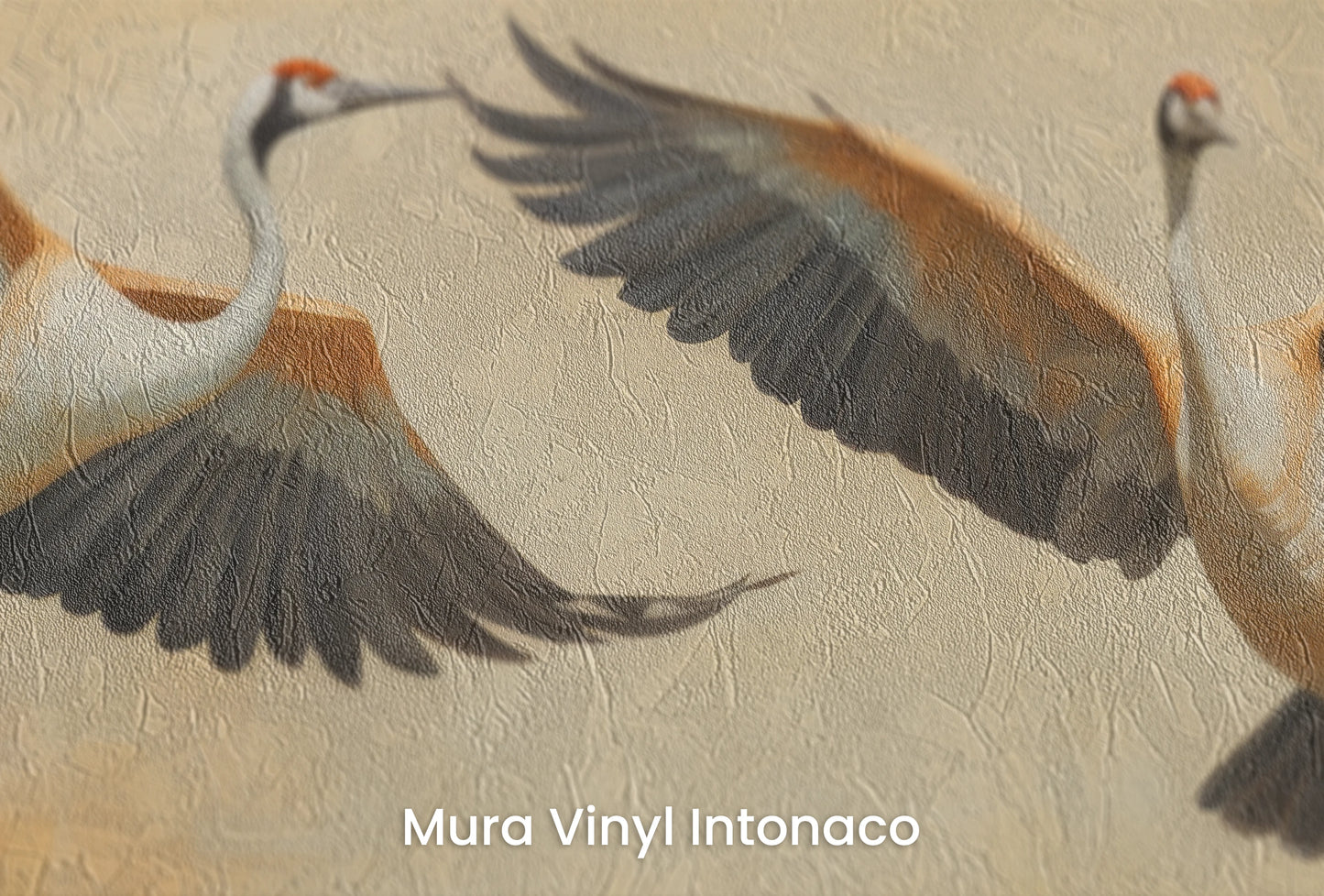 Zbliżenie na artystyczną fototapetę o nazwie Golden Duet na podłożu Mura Vinyl Intonaco - struktura tartego tynku.