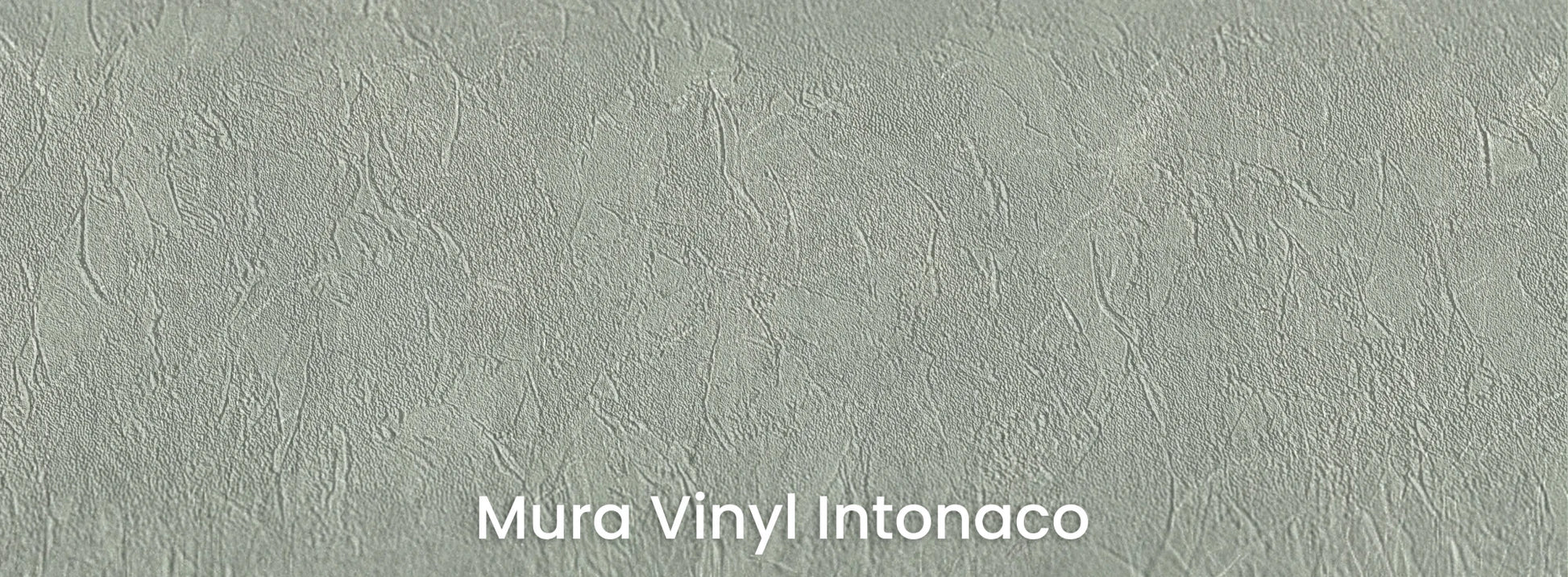 Zbliżenie na fototapetę SILENT SHORE - tapeta z mglistą trawą w szarej tonacji na podłożu o strukturze tartego tynku.