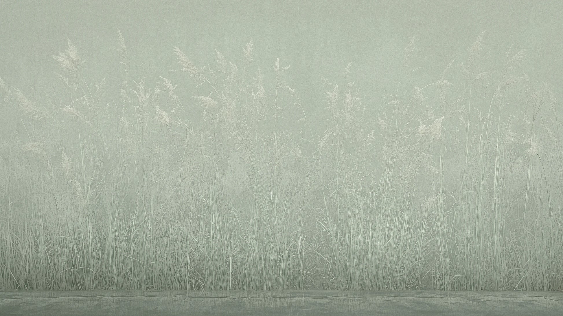 Prezentacja całego wzoru fototapety o nazwie SILENT SHORE - tapeta z mglistą trawą w szarej tonacji