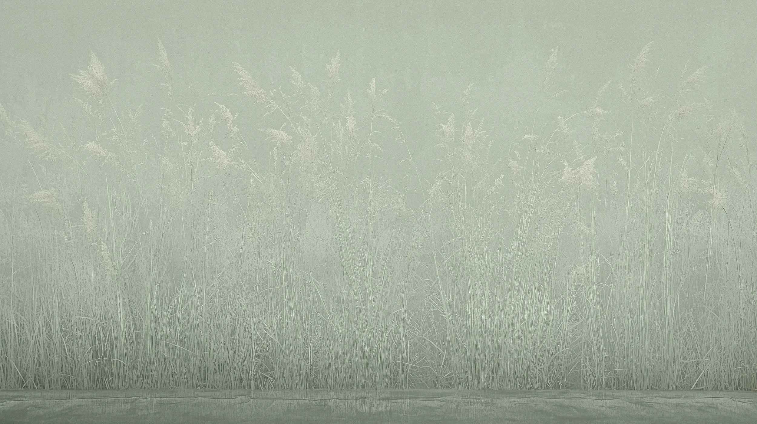 Podgląd wzoru: Prezentacja całego wzoru fototapety o nazwie SILENT SHORE - tapeta z mglistą trawą w szarej tonacji