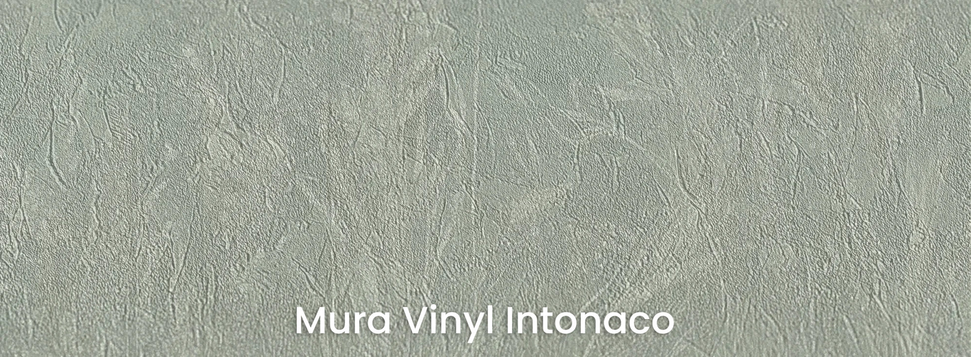 Zbliżenie na fototapetę MEADOW REVERIE - tapeta z delikatnym wzorem traw na seledynowym tle na podłożu o strukturze tartego tynku.