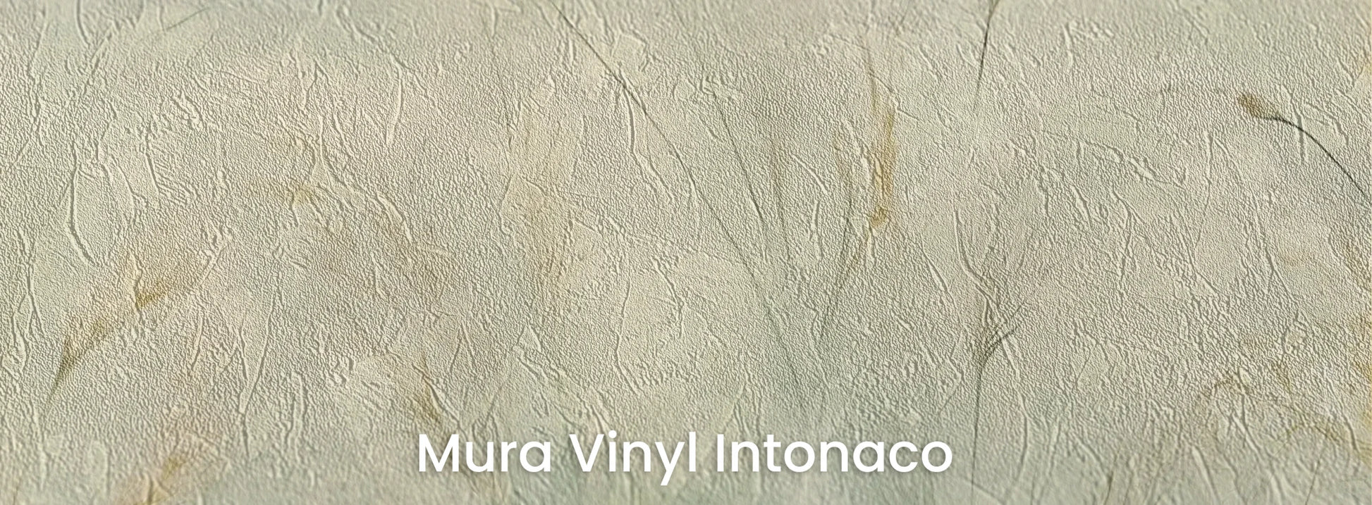 Zbliżenie na fototapetę EMERALD WALTZ - tapeta z mglistymi trawami w odcieniach zieleni na podłożu o strukturze tartego tynku.