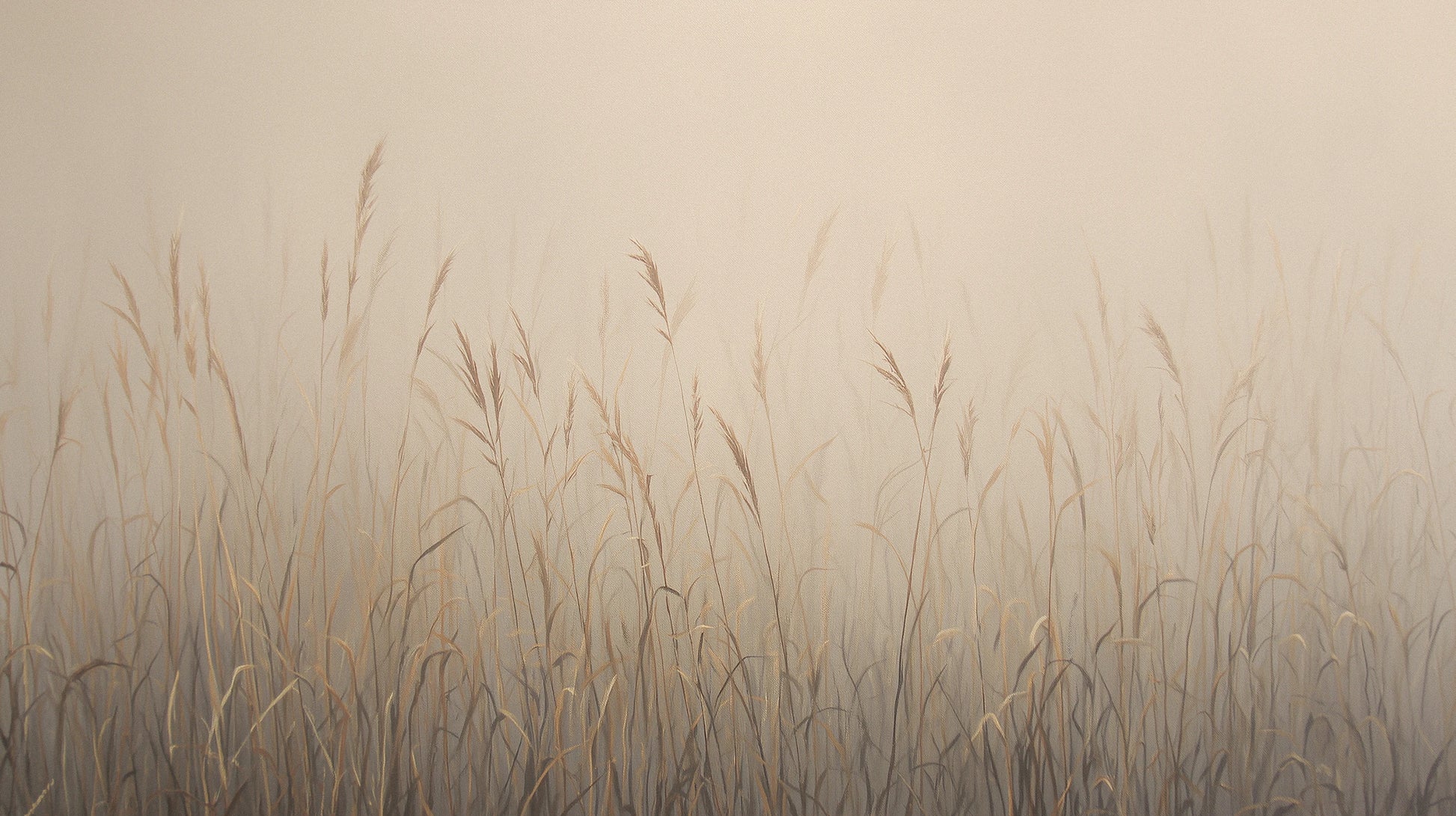 Prezentacja całego wzoru fototapety o nazwie MISTY SILENCE - tapeta z mglistymi trawami o świcie