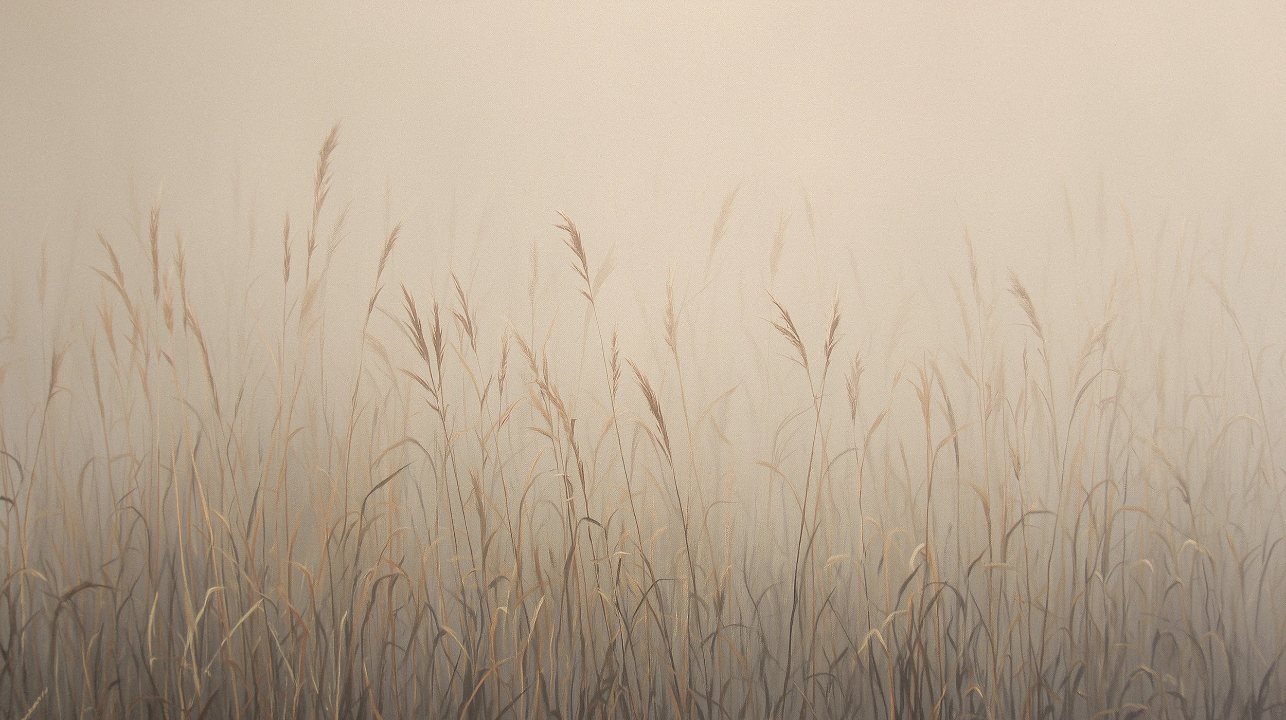 Mustervorschau: Prezentacja całego wzoru fototapety o nazwie MISTY SILENCE - tapeta z mglistymi trawami o świcie