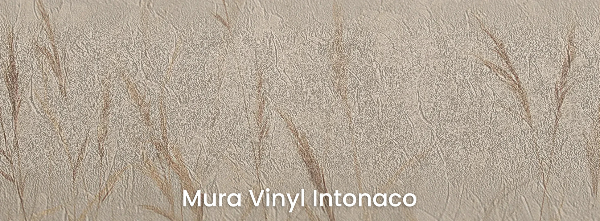 Zbliżenie na fototapetę MISTY SILENCE - tapeta z mglistymi trawami o świcie na podłożu o strukturze tartego tynku.