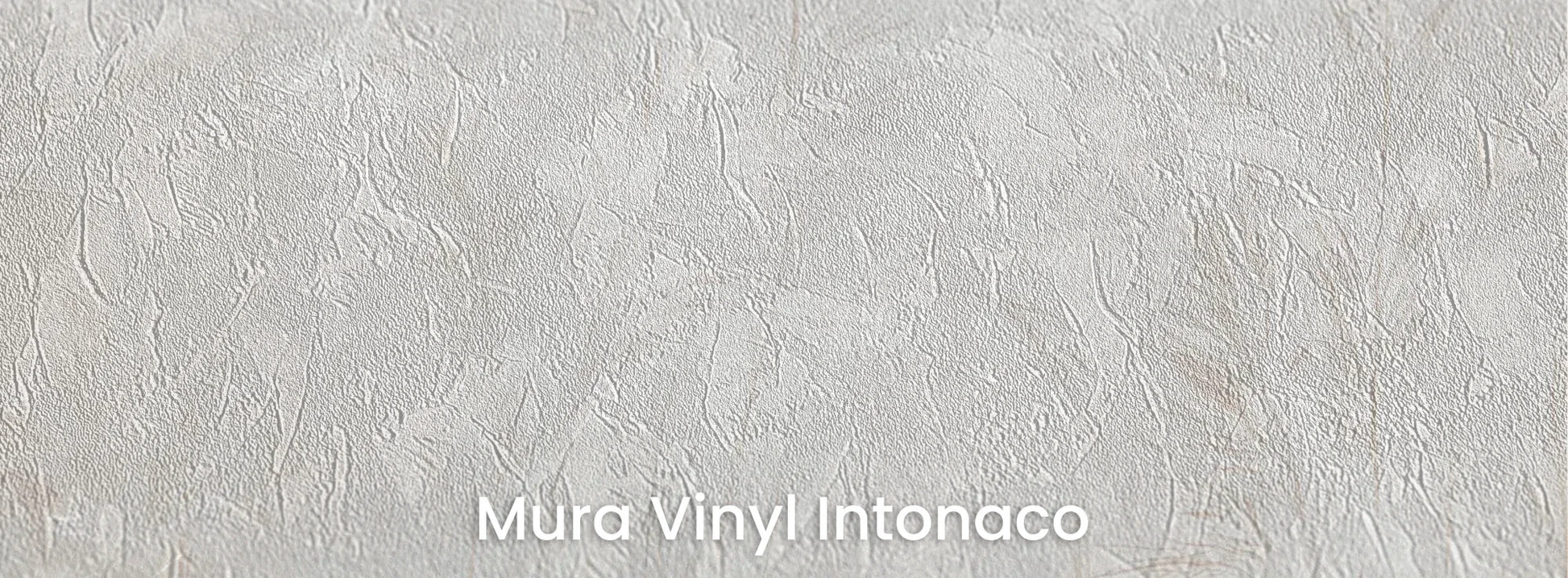 Zbliżenie na fototapetę LUMINOUS REEDS - tapeta z mglistymi trawami w jasnej tonacji na podłożu o strukturze tartego tynku.