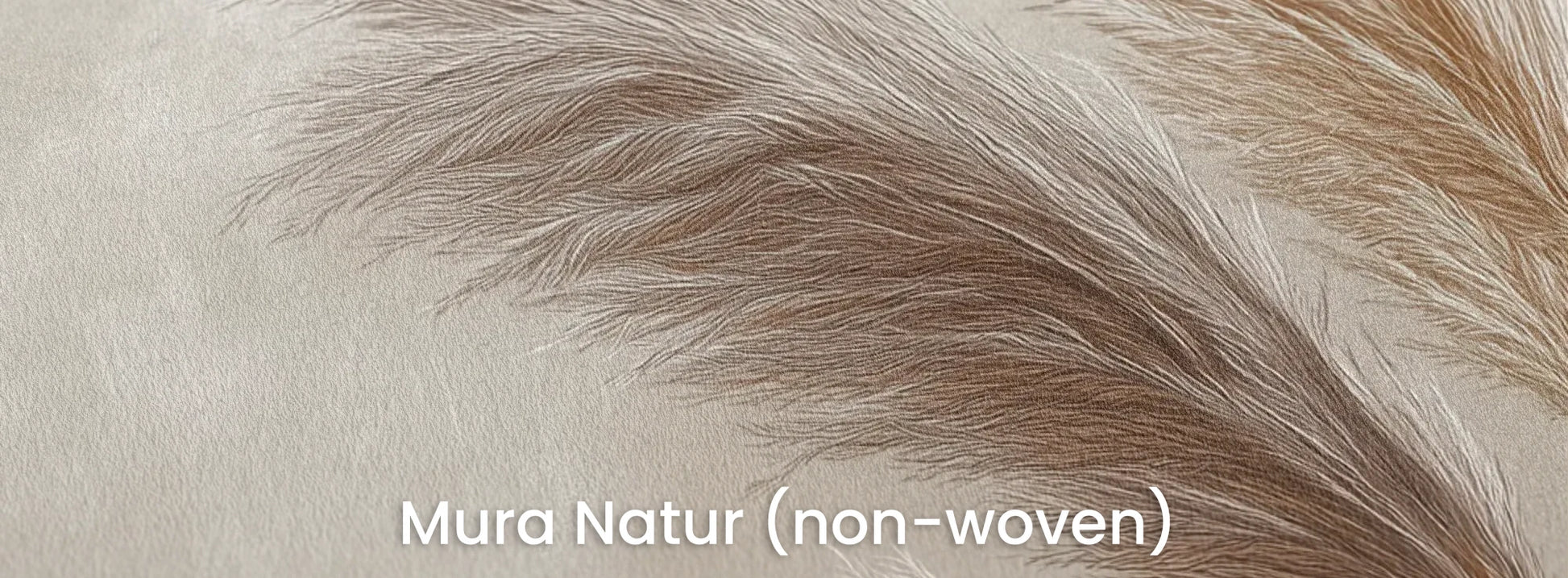 Zbliżenie na fototapetę GENTLE PLUMES - tapeta z beżowymi źdźbłami trawy na jasnym tle na naturalnym podłożu ekologicznym.