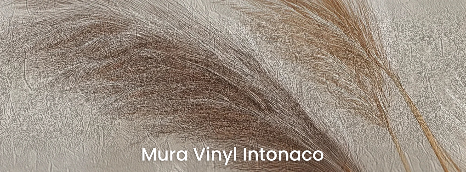 Zbliżenie na fototapetę GENTLE PLUMES - tapeta z beżowymi źdźbłami trawy na jasnym tle na podłożu o strukturze tartego tynku.