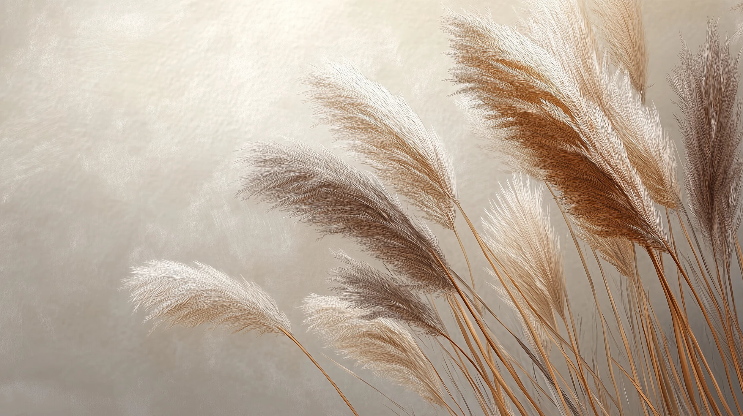 Mustervorschau: Prezentacja całego wzoru fototapety o nazwie GENTLE PLUMES - tapeta z beżowymi źdźbłami trawy na jasnym tle