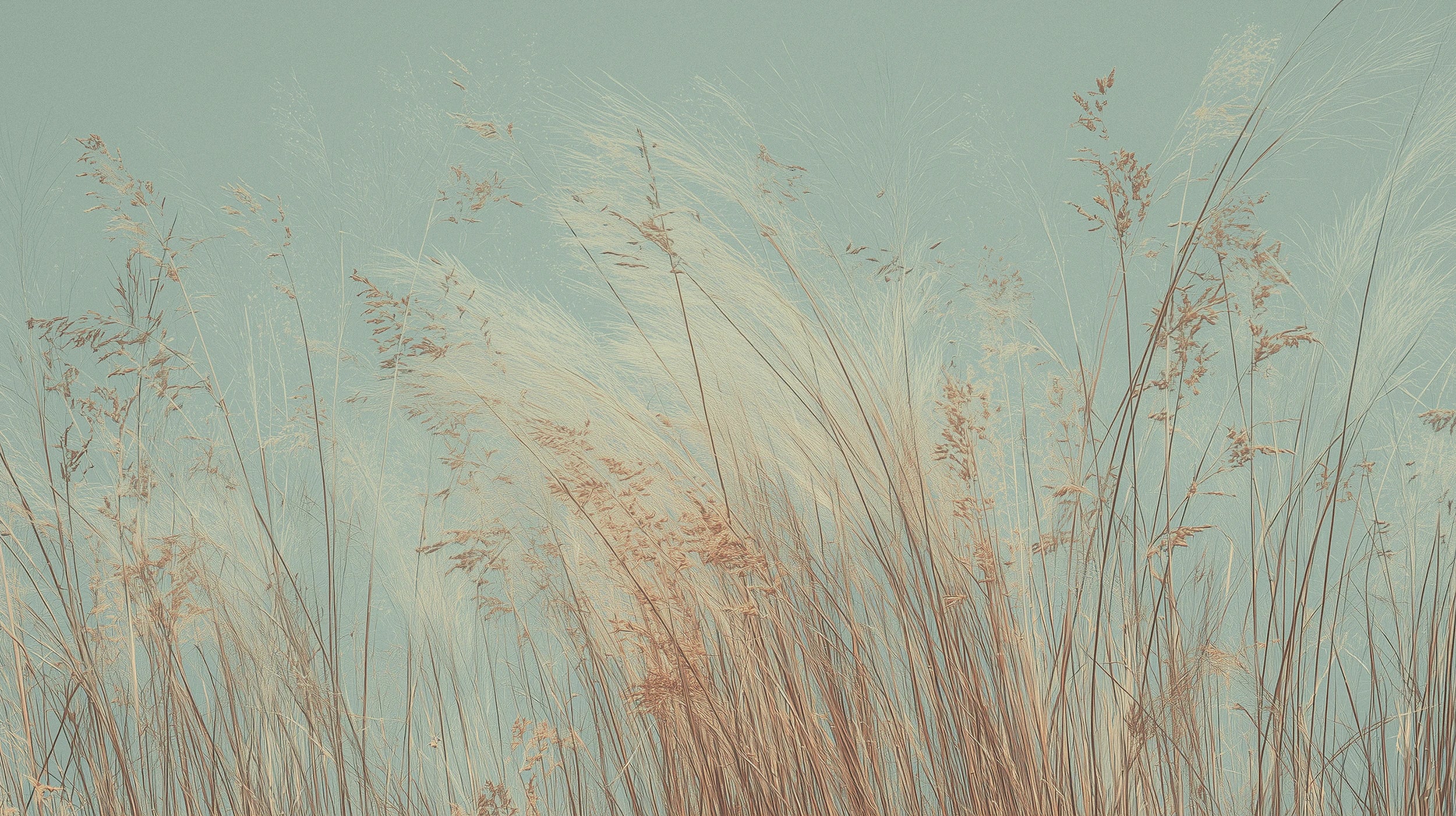 Pattern preview: Prezentacja całego wzoru fototapety o nazwie SAGE WHISPERS - tapeta z delikatną trawą na błękitnym tle