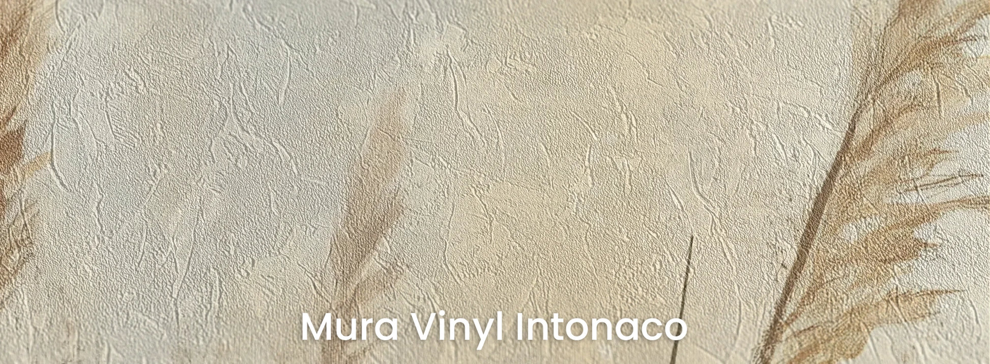 Zbliżenie na fototapetę MEADOW GRACE - tapeta z delikatnymi źdźbłami traw o świcie na podłożu o strukturze tartego tynku.